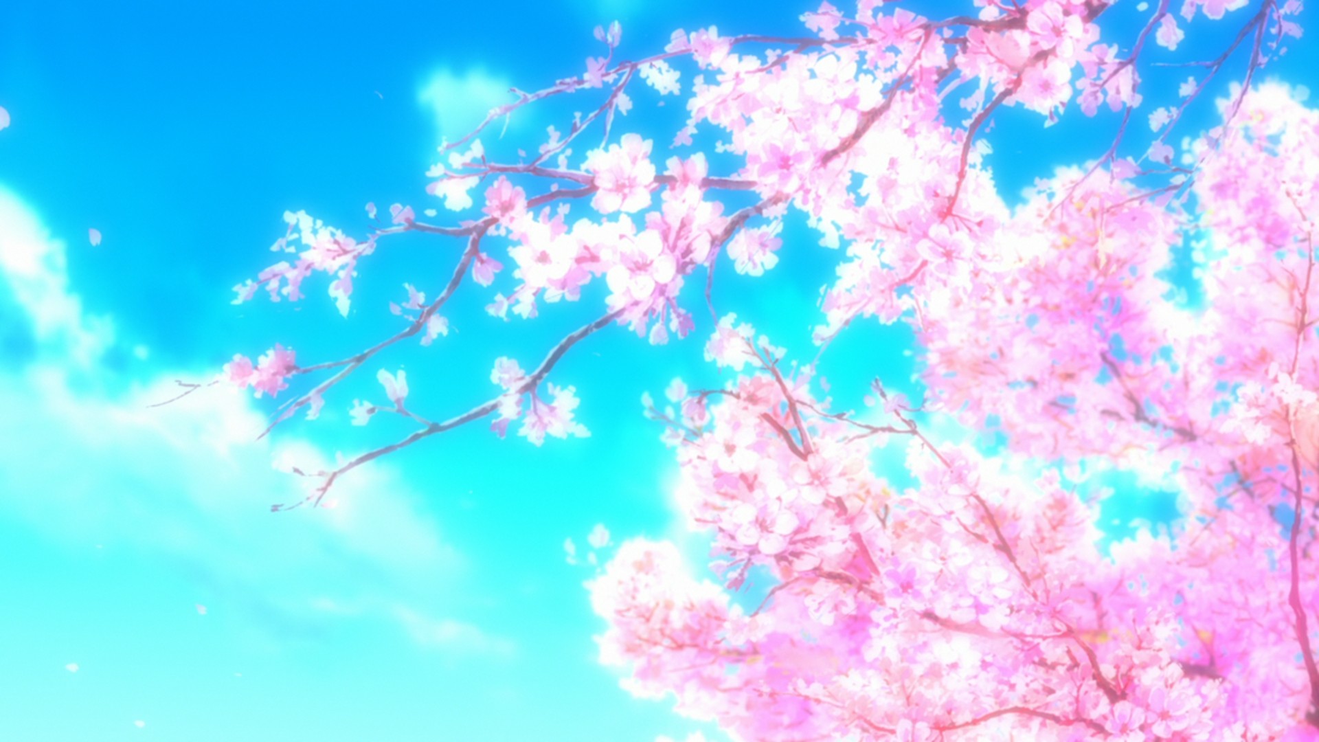 Anime wallpaper ·① Download free HD anime wallpapers for desktop, mobile, laptop in any ...