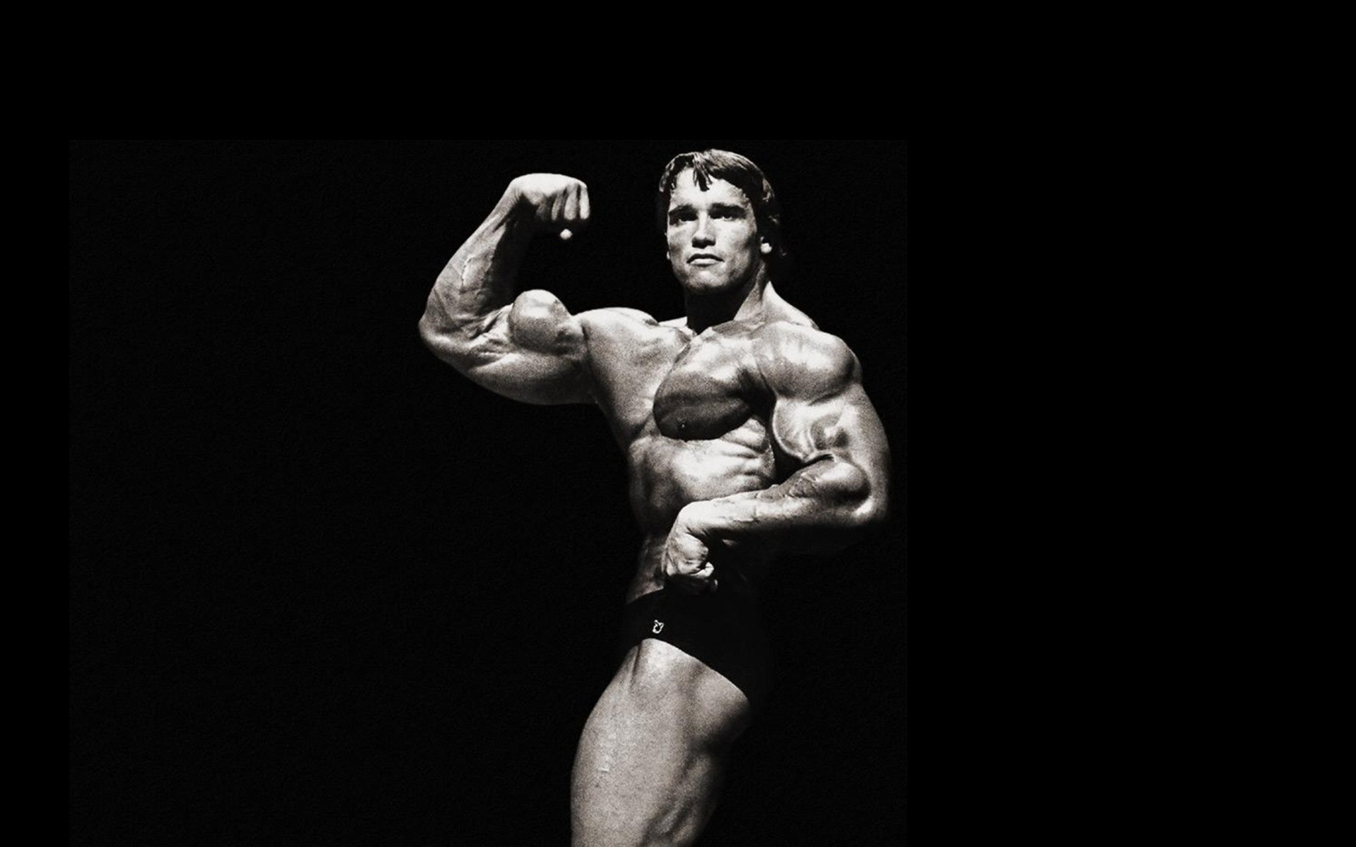 Arnold Schwarzenegger Bodybuilding Wallpapers Posters And Pictures HD 