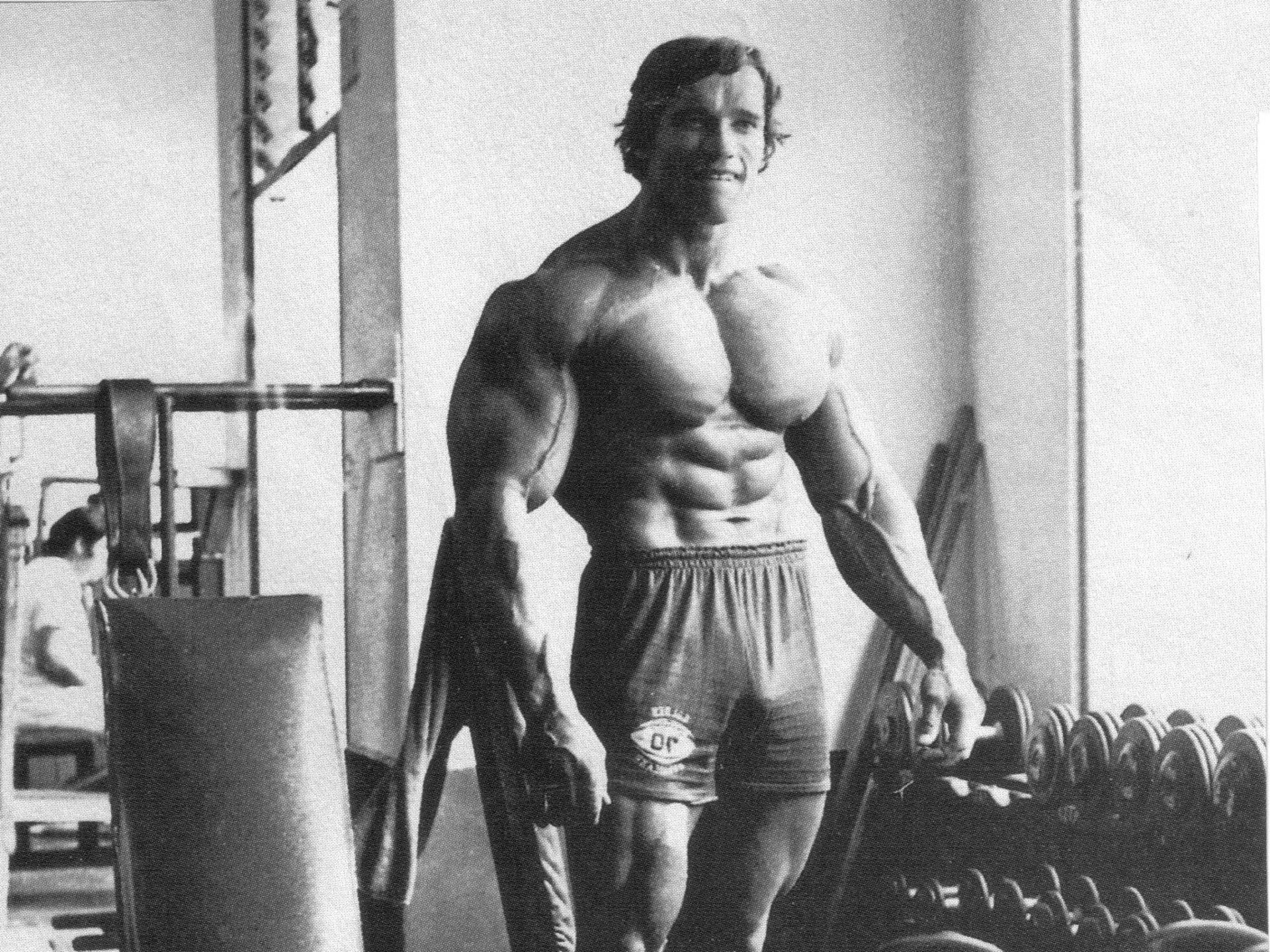 Arnold Schwarzenegger Bodybuilding Wallpapers Posters and ...