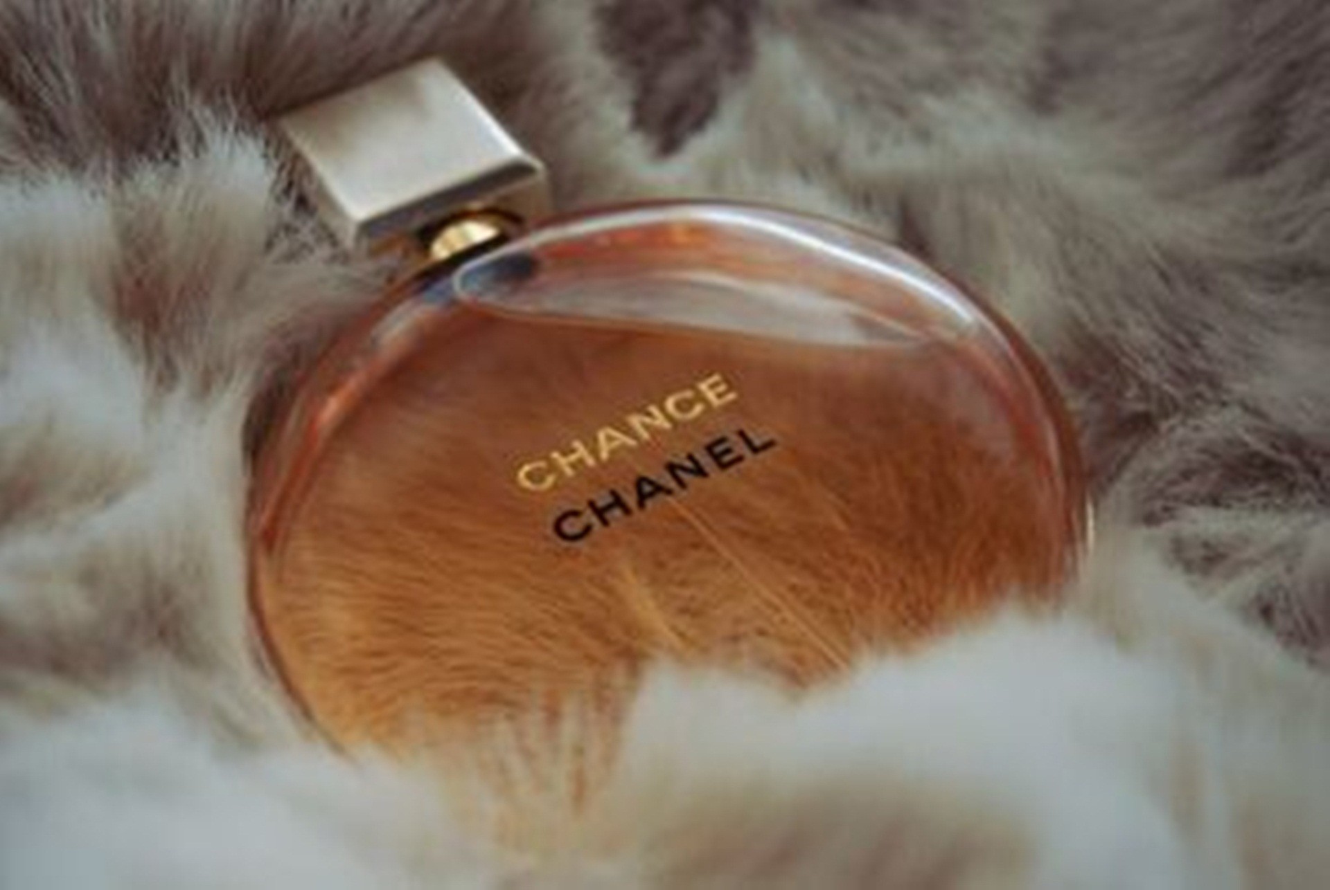 Chanel Chance, Perfume bottle, Fur, Full HD, wallpaper for PC