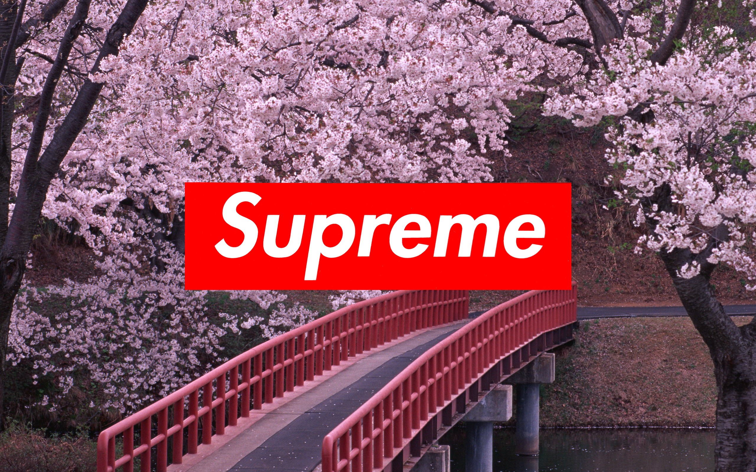 2560x1600px Supreme Wallpapers WallpaperSafari