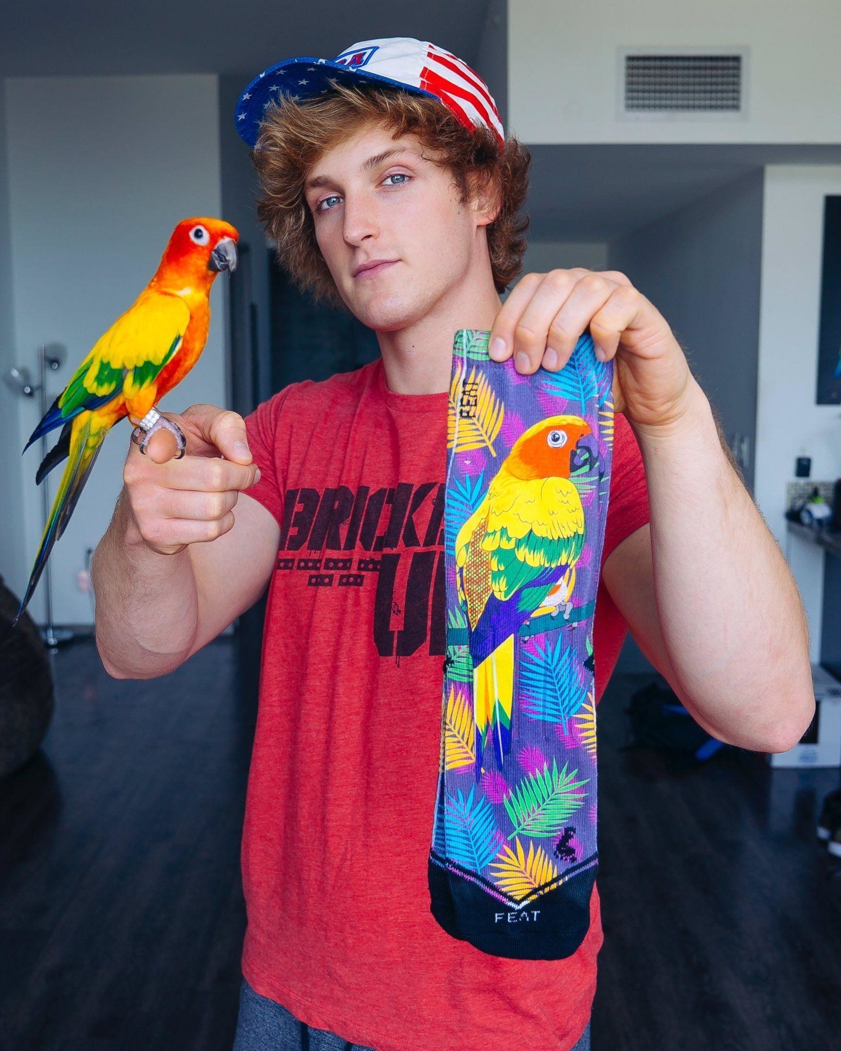 Logan Paul Wallpapers ·① WallpaperTag