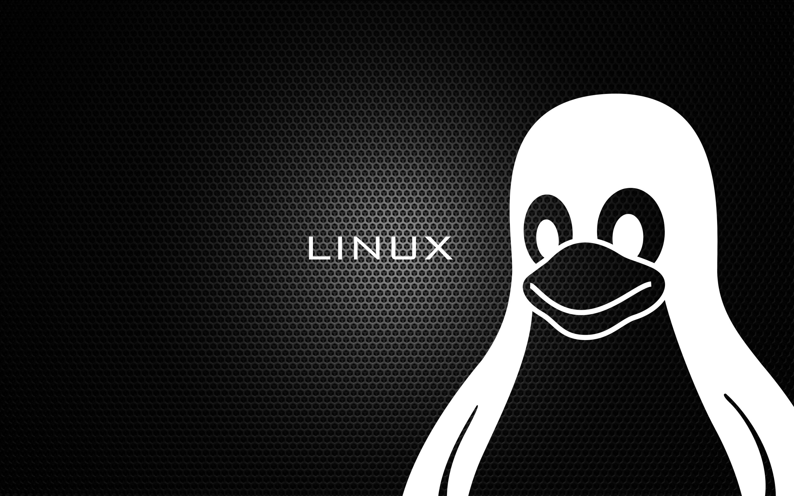Balena linux. Линукс. Обои линукс. Пингвин линукс. Linux Пингвин обои.