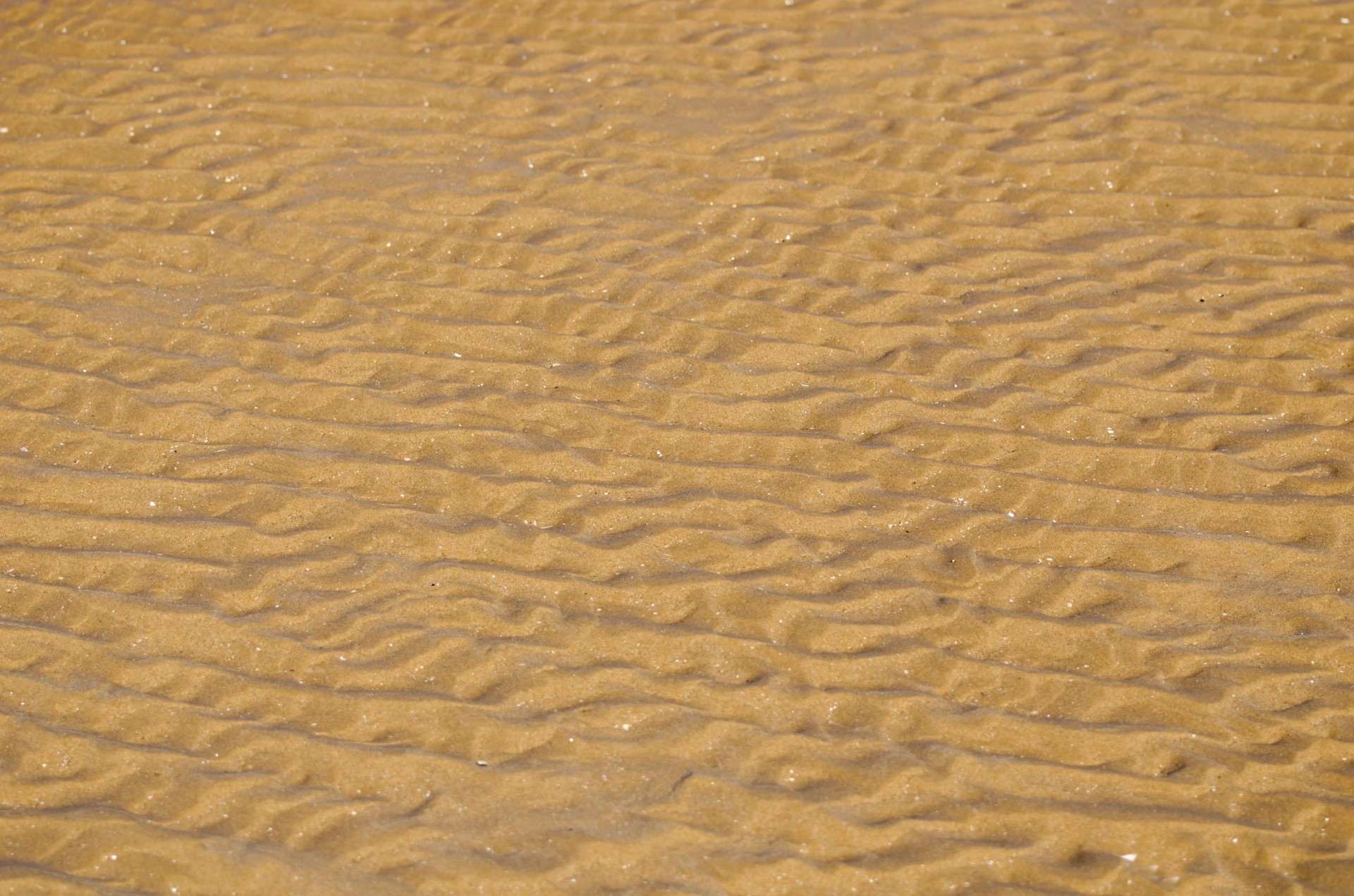 Sand ripples, Golden sand, Texture, Pattern, Full HD, desktop wallpaper