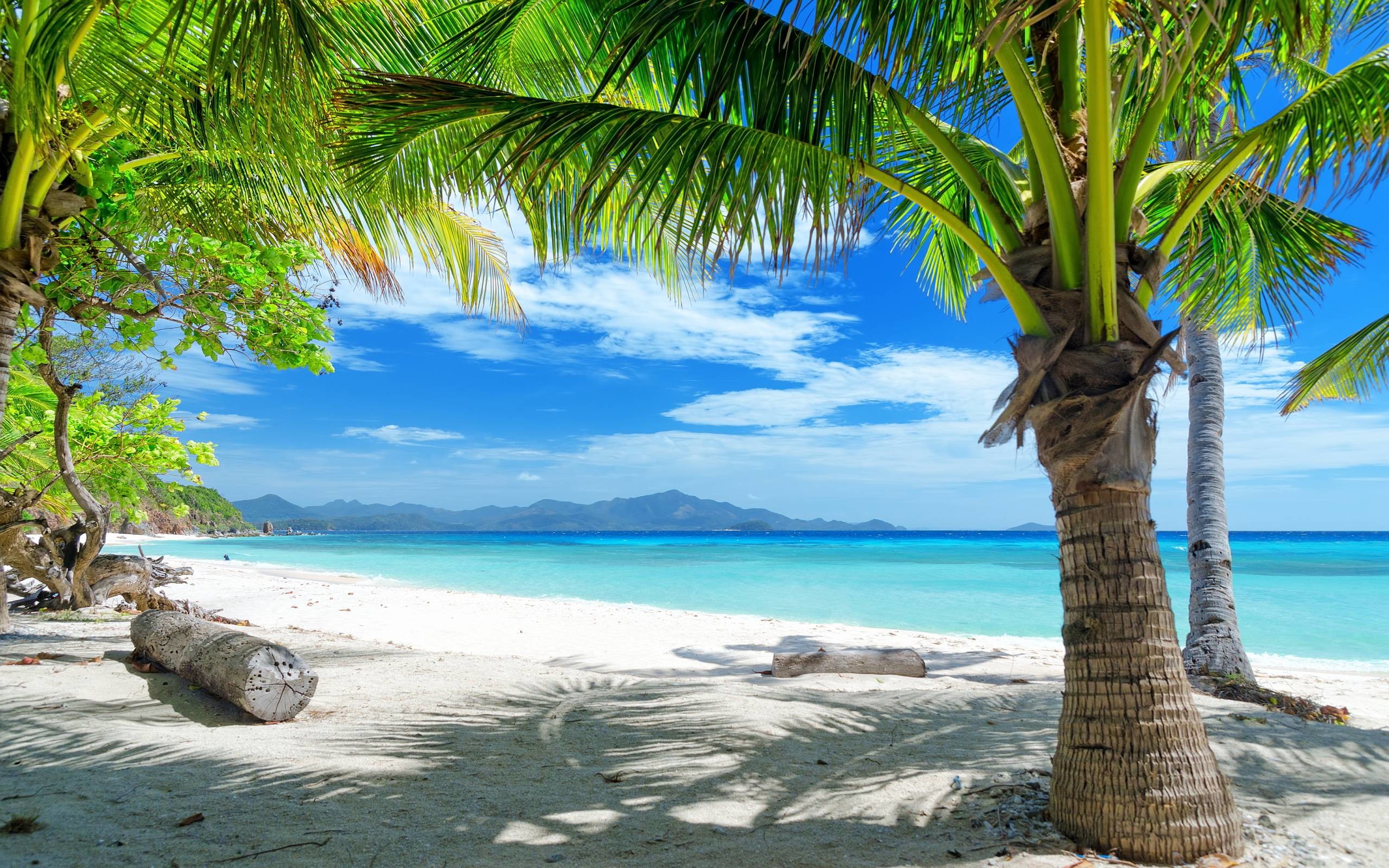 Tropical Beach Desktop Backgrounds WallpaperTag