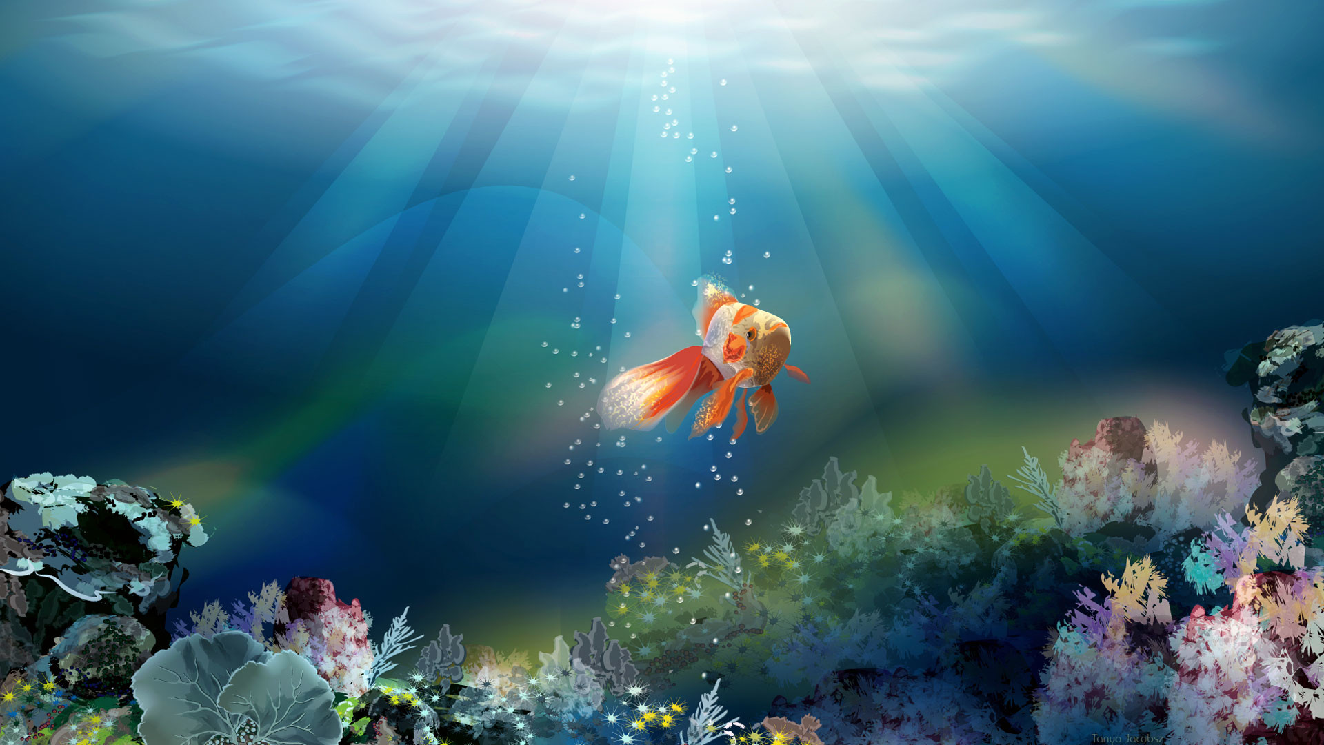 Cool Fish Backgrounds ·① WallpaperTag