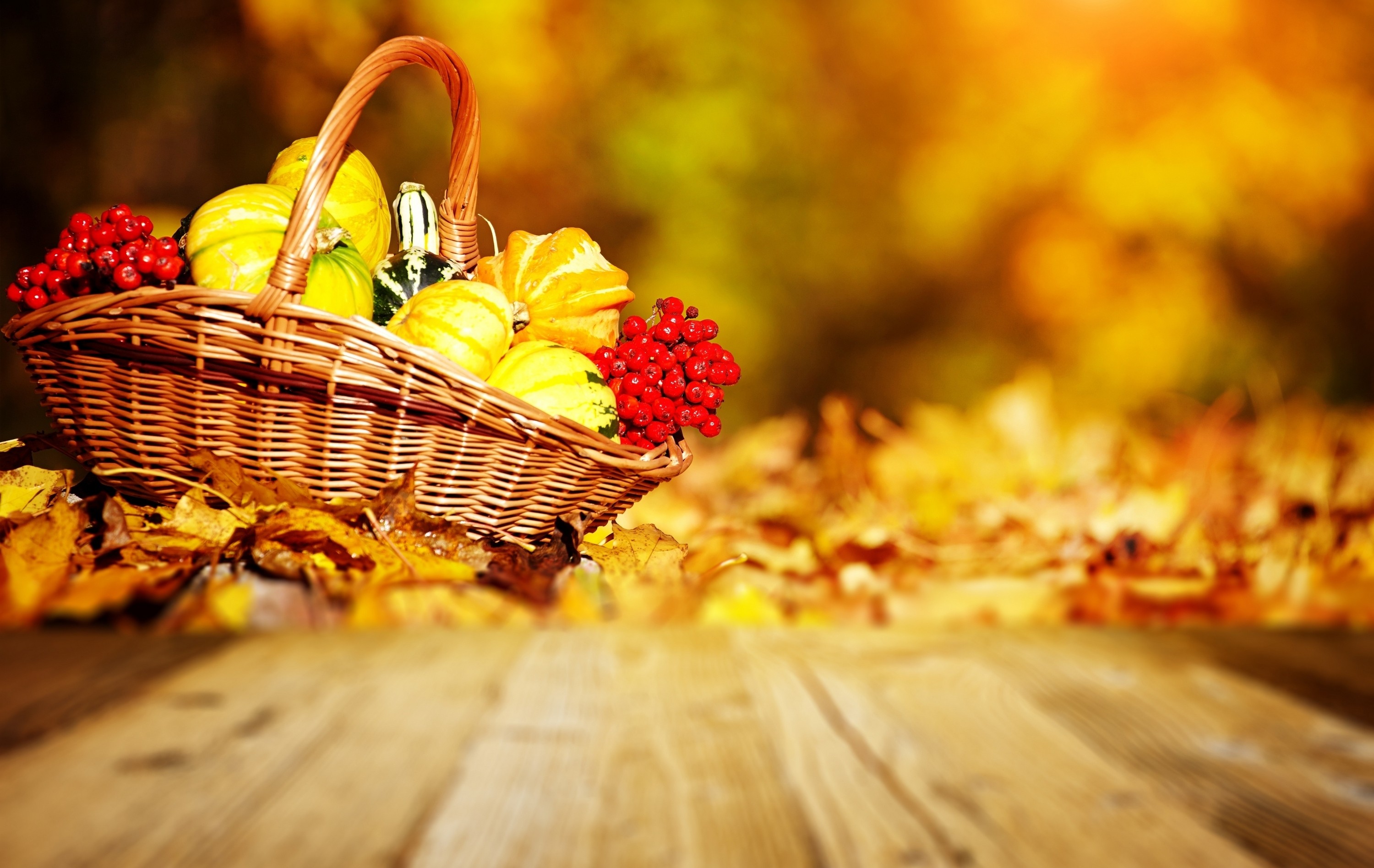 Fall Harvest wallpaper ·① Download free amazing HD backgrounds for ...