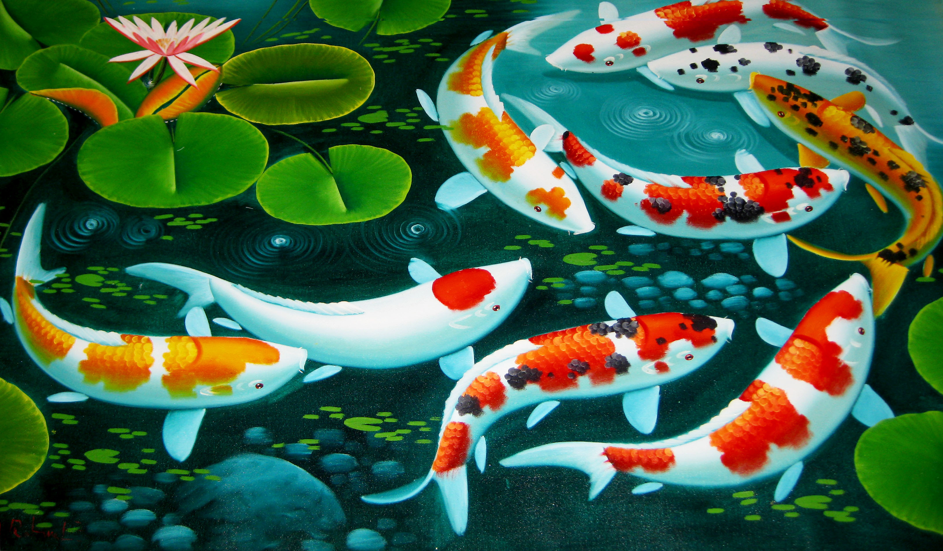  Koi  Fish Background   WallpaperTag