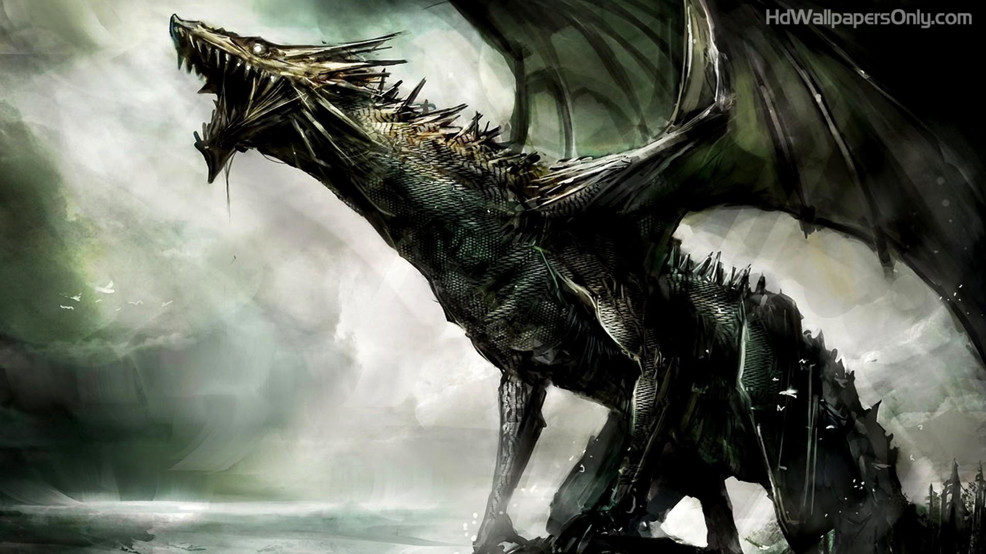 dragons wallpapers hd
