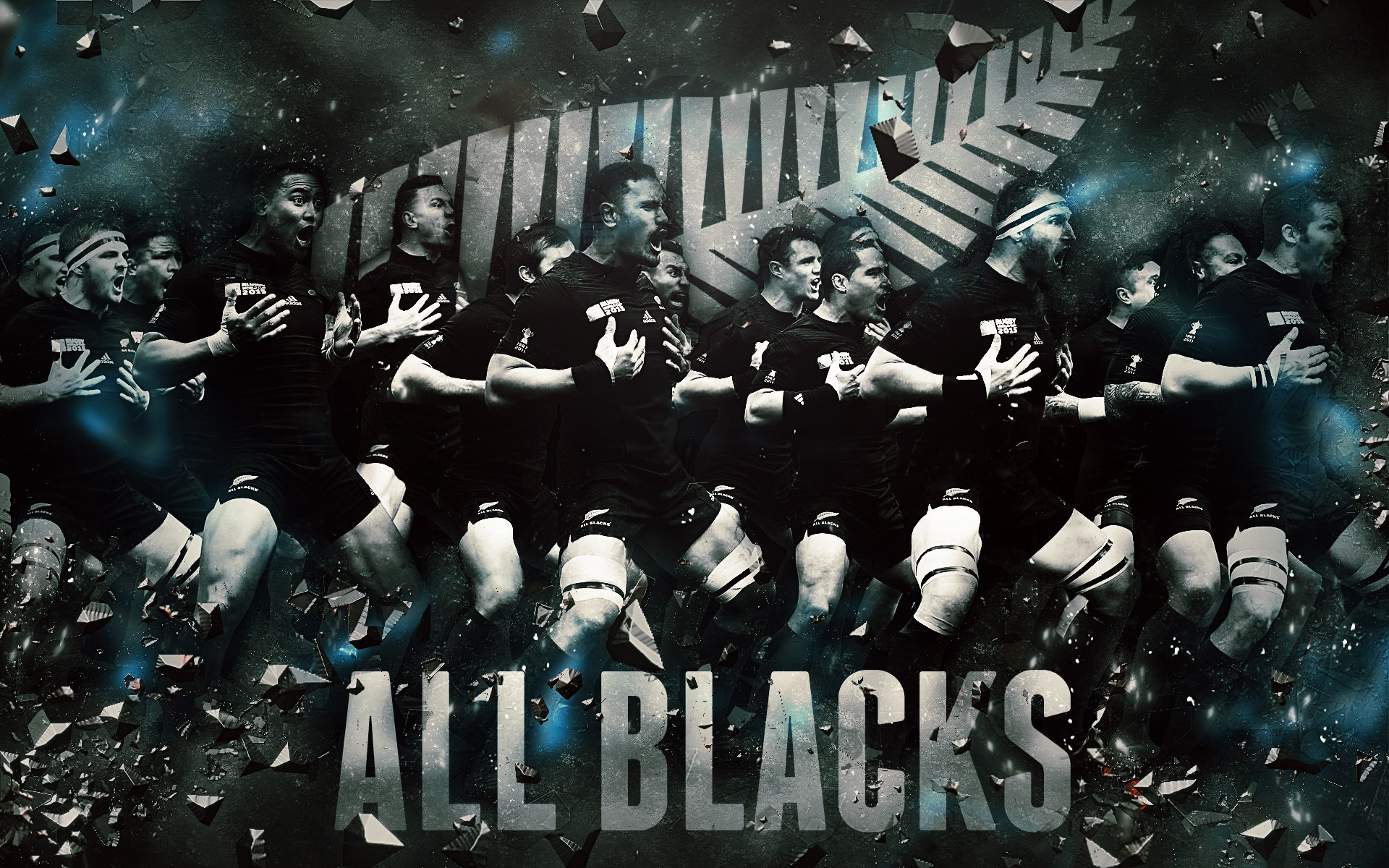 New Zealand All Blacks Wallpaper ·① WallpaperTag