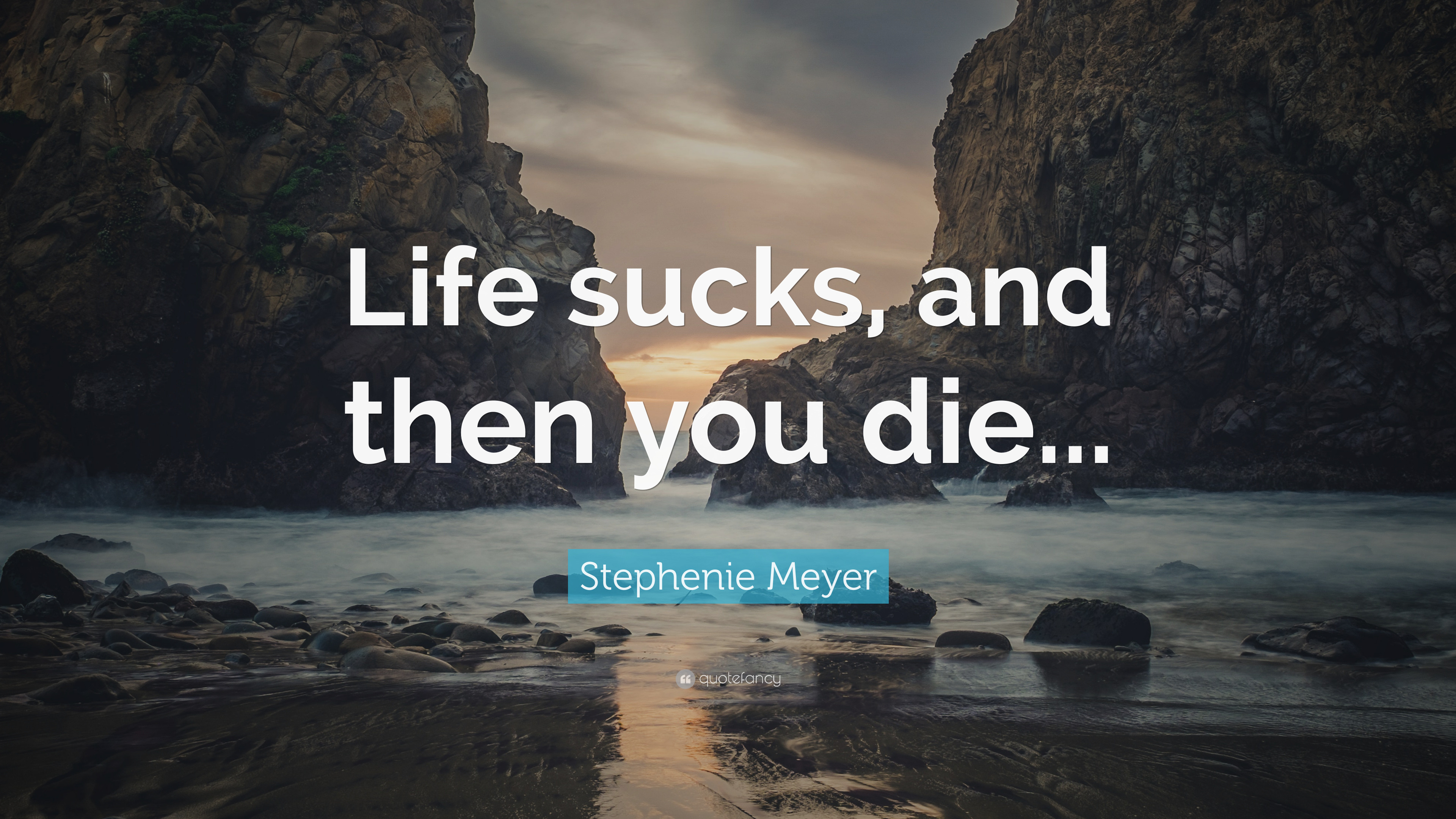 3840x2160 Stephenie Meyer Quote: "Life sucks, and then you die. 