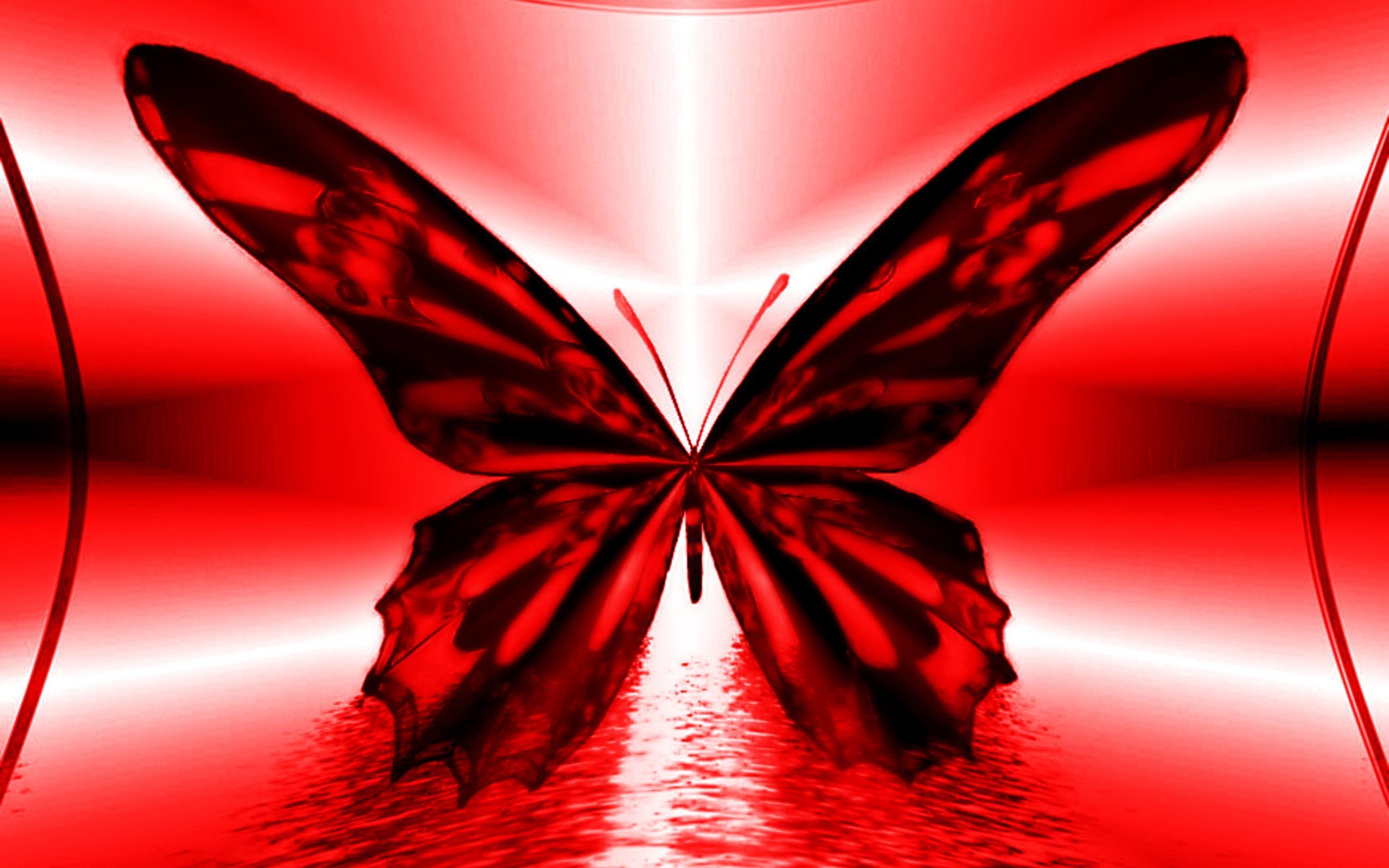  Red  Butterfly Wallpaper    WallpaperTag