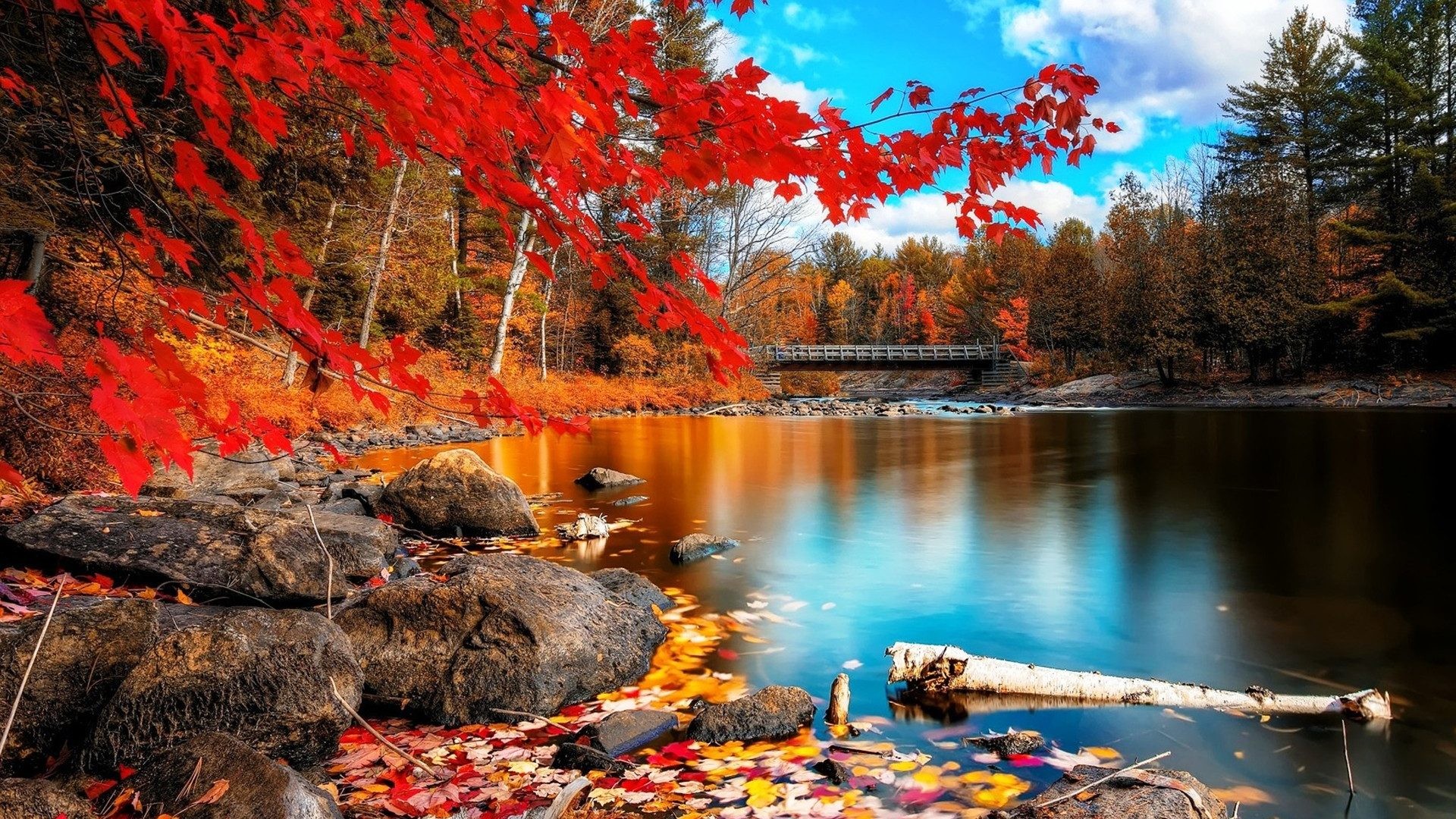 Autumn Wallpaper For Desktop ·① Wallpapertag