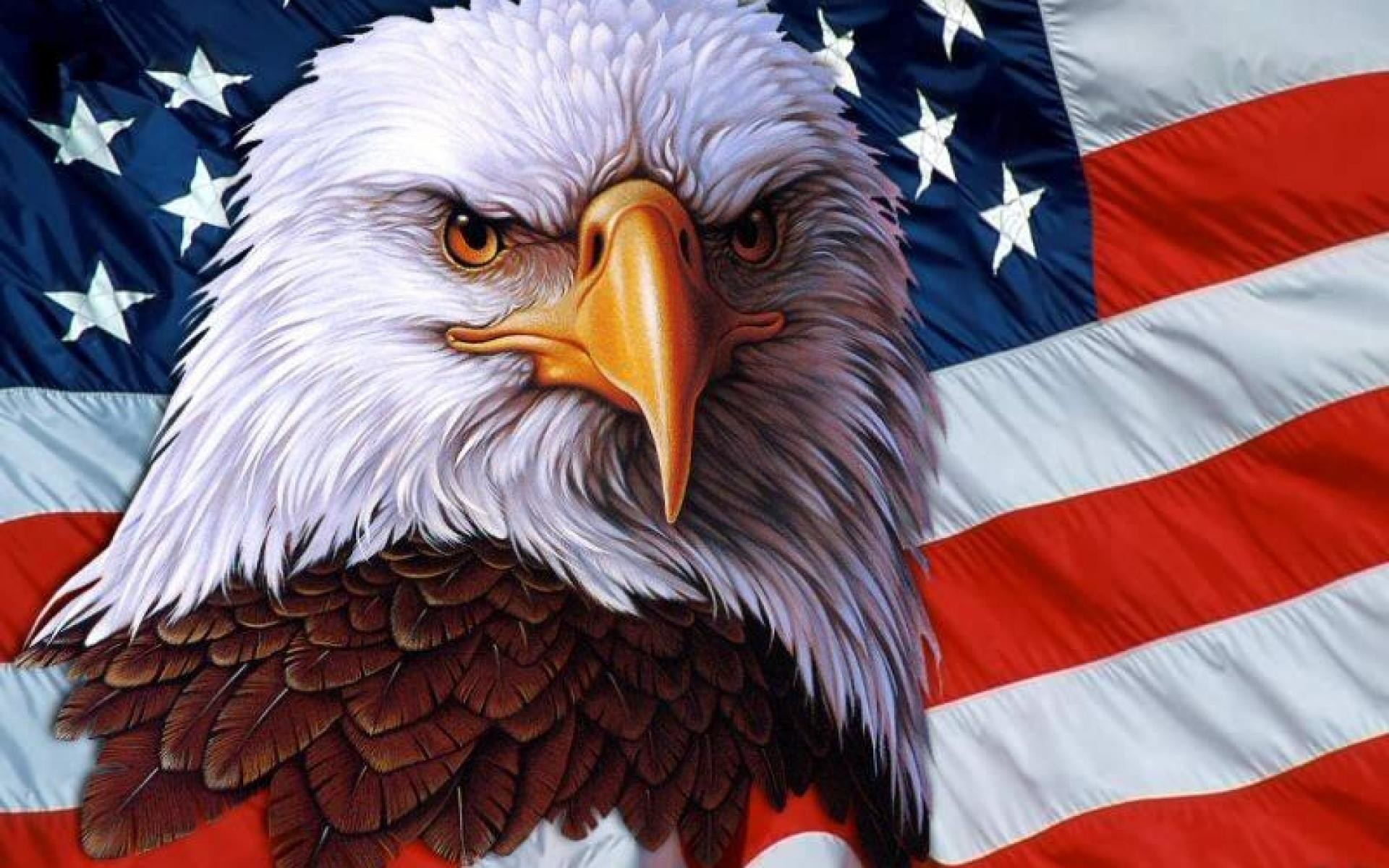 American Bald Eagle Wallpaper ·① WallpaperTag