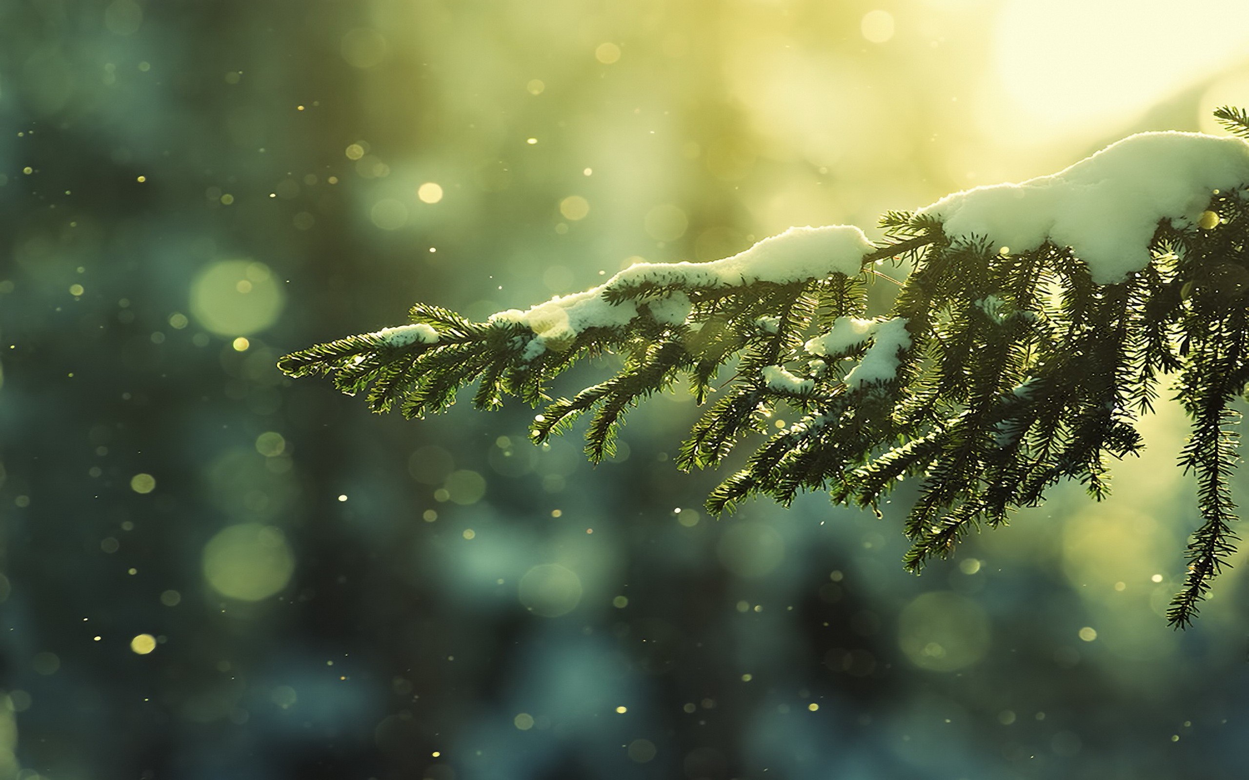 Christmas wallpaper Tumblr ·① Download free amazing