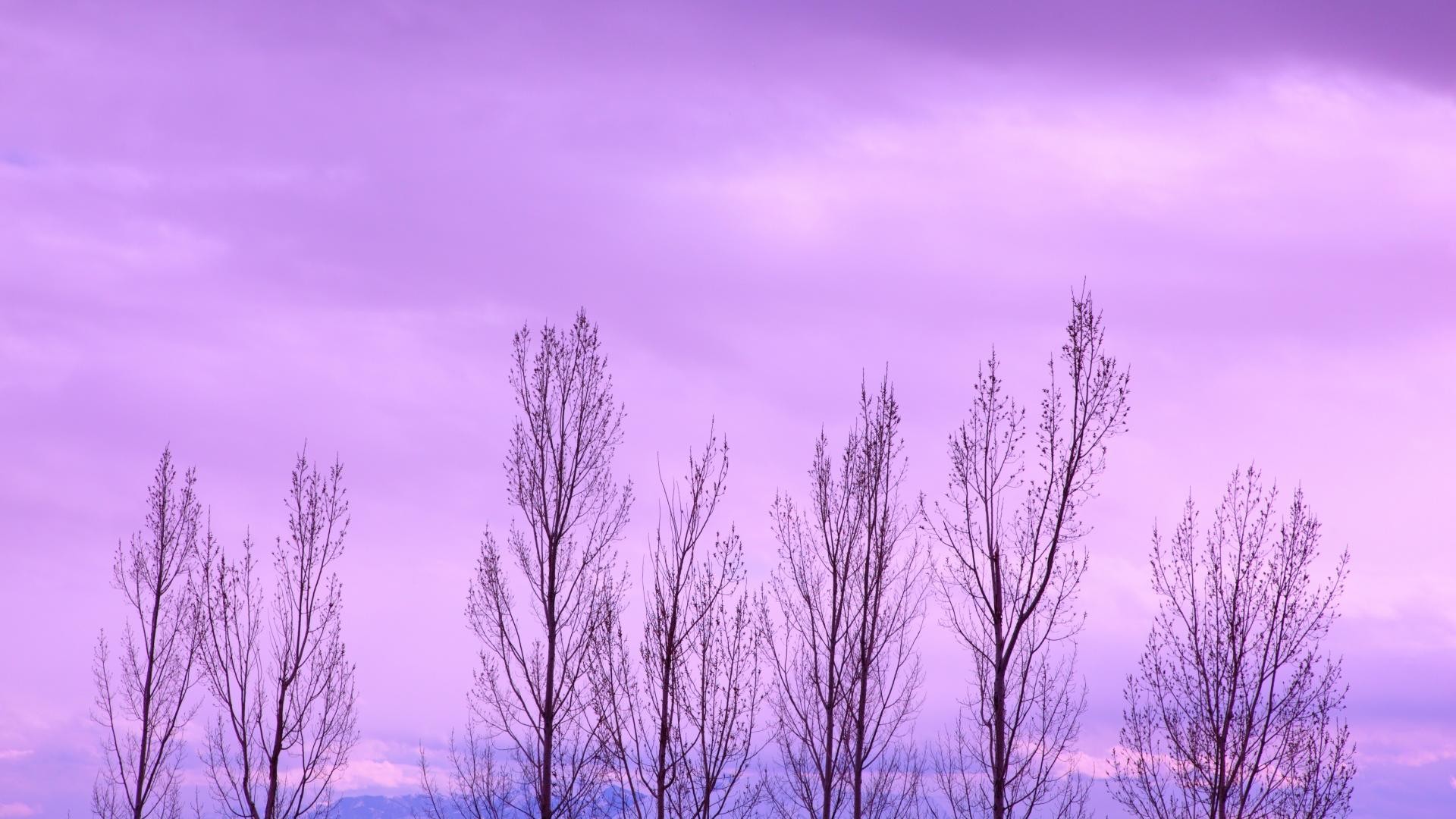 Purple background Tumblr ·① Download free stunning full HD ...