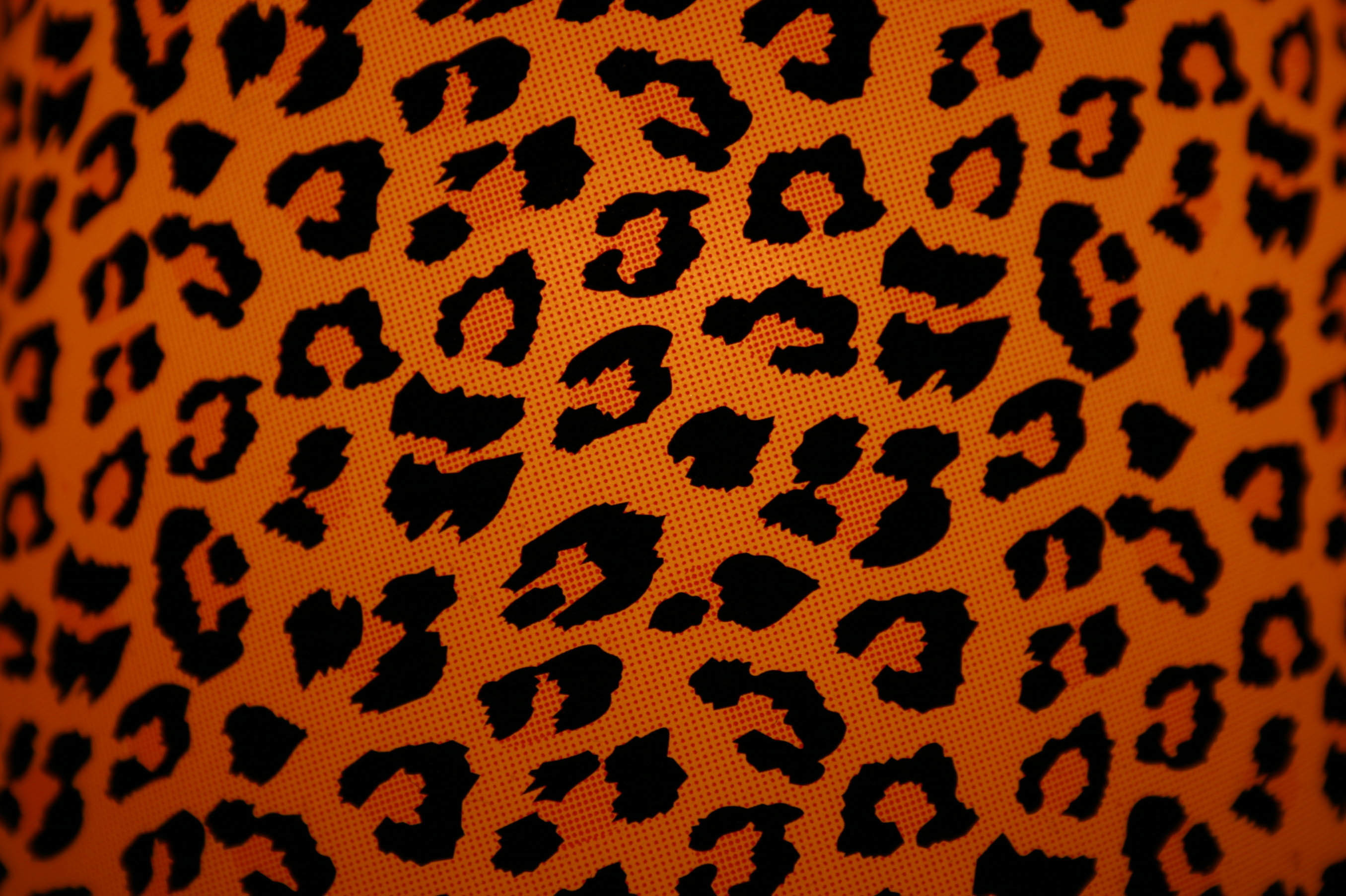  on cheetah print wallpaper