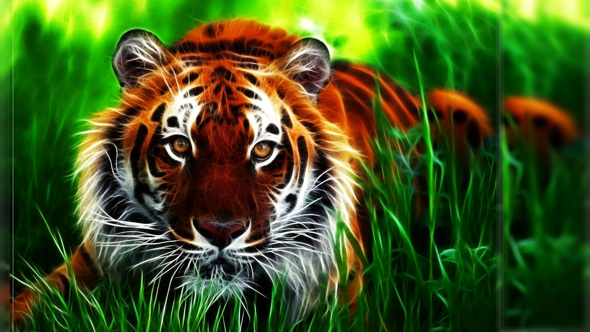 Cool Tiger Wallpapers ·① WallpaperTag