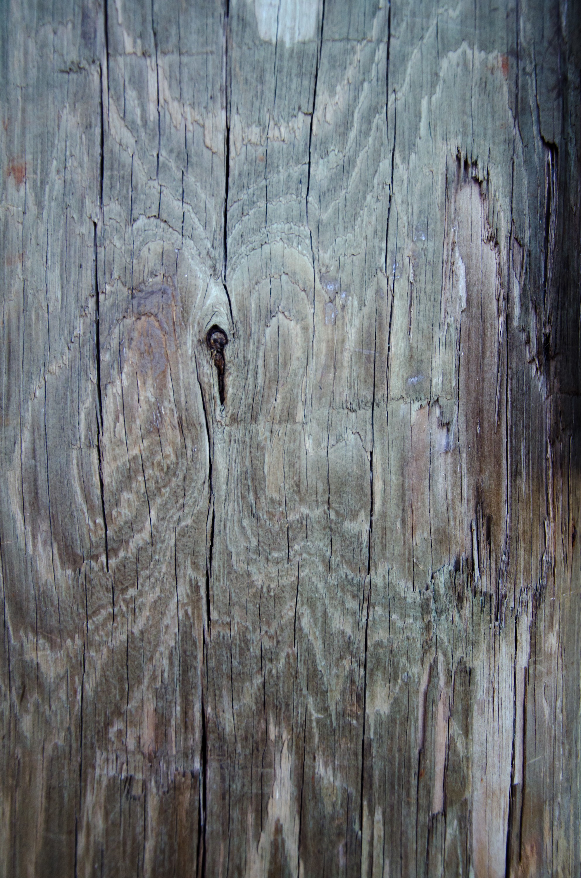 Wood Grain background ·① Download free awesome High Resolution