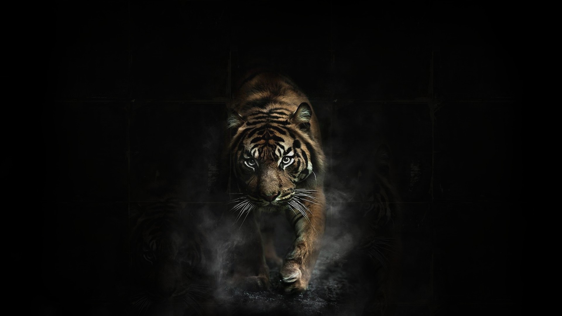 Tiger wallpaper ·① Download free awesome High Resolution backgrounds