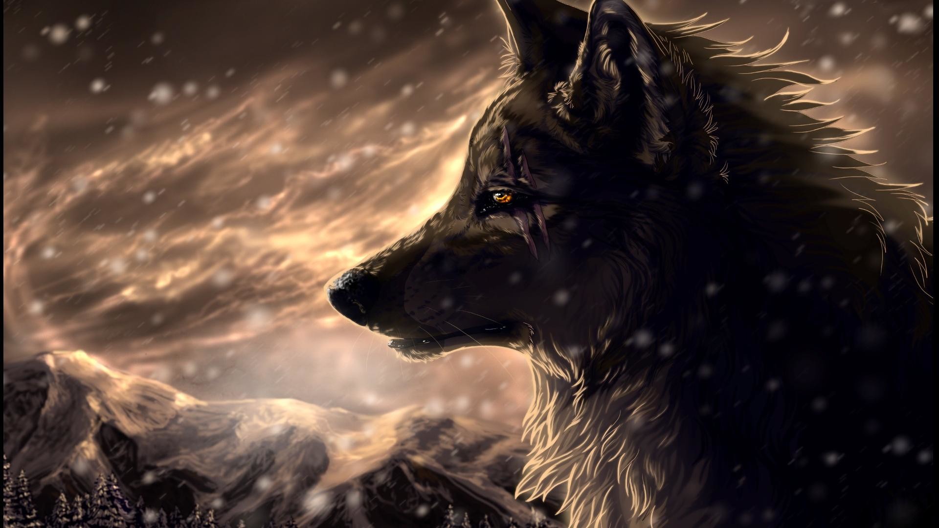 Cool Wolf Backgrounds ·① WallpaperTag