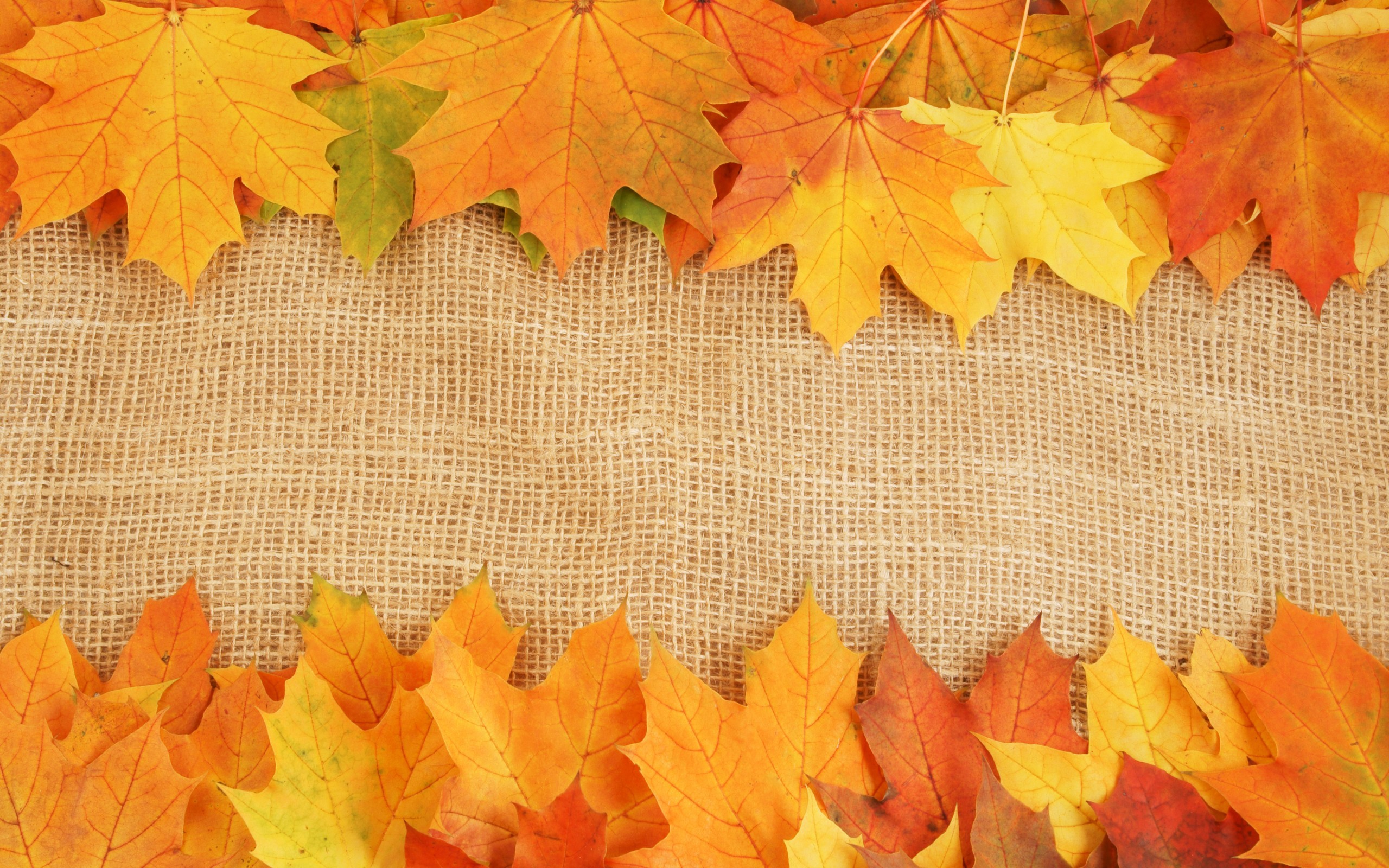 Fall Leaves Backgrounds WallpaperTag