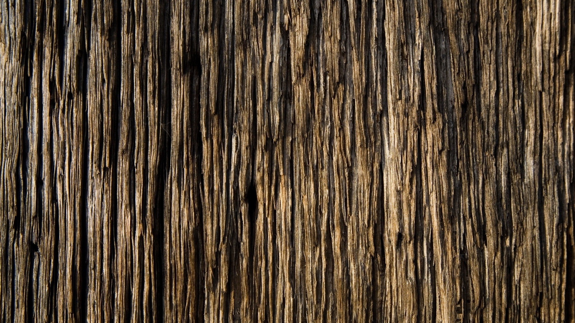 Tree bark, Bark texture, Wood texture, Rough texture, Vertical grain, 1920x1080 desktop background