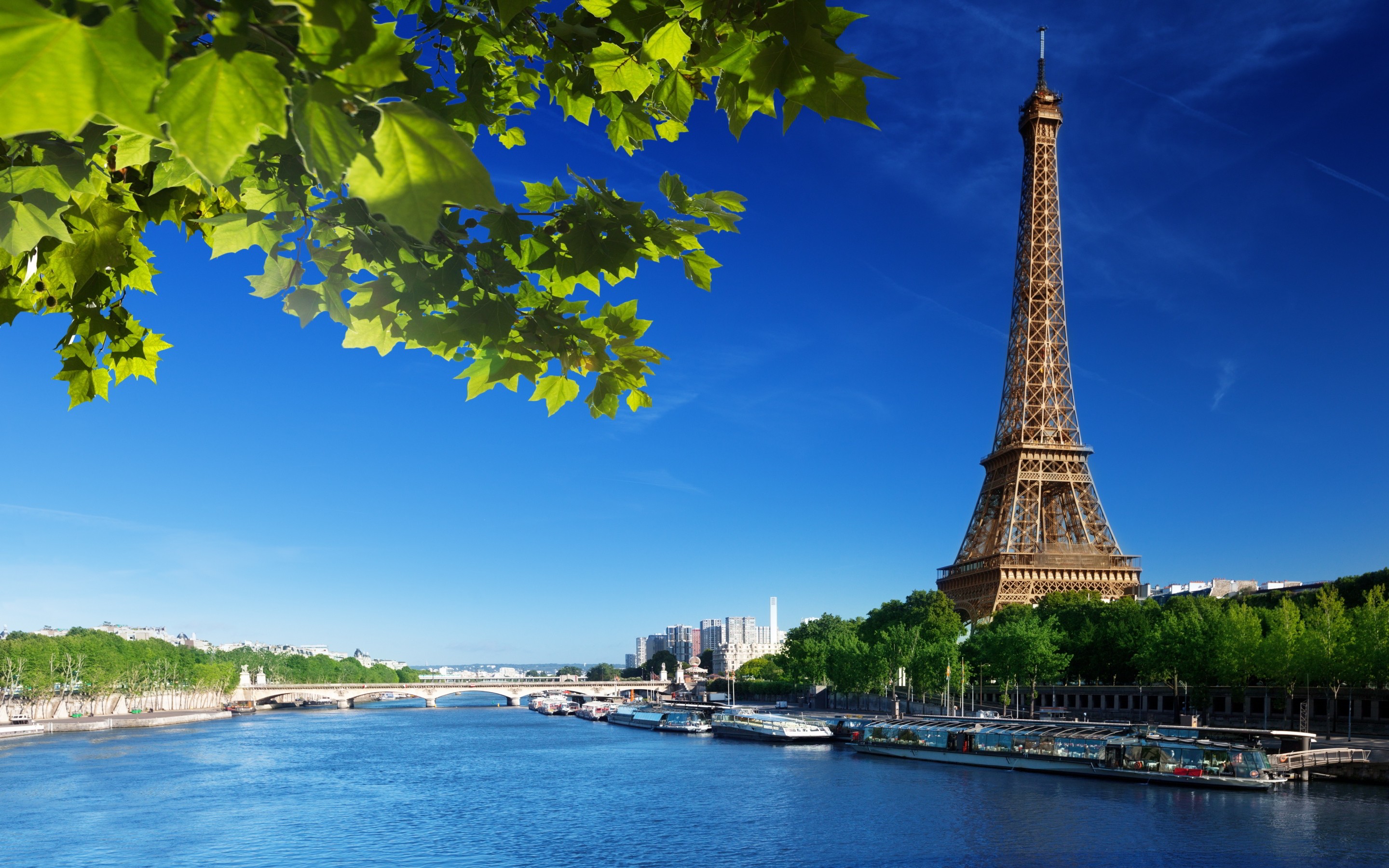 Eiffel Tower Seine River Paris