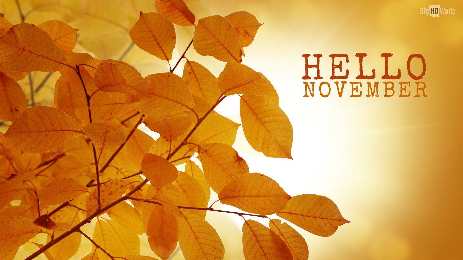 November Wallpaper ·① Download Free Awesome Hd Backgrounds For Desktop