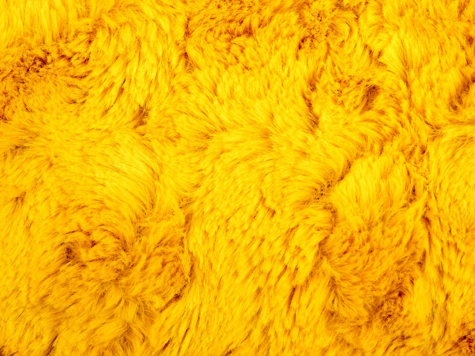 Gold wool