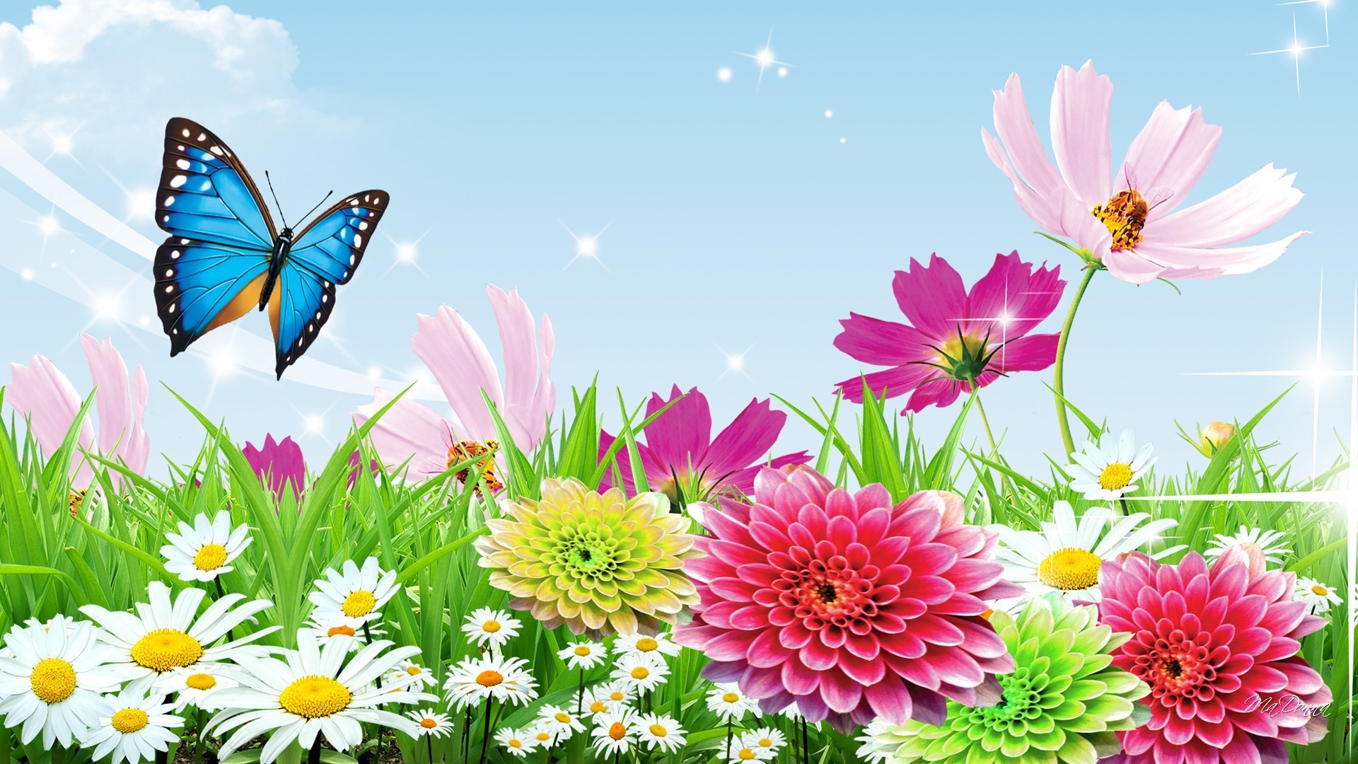 Поле цветы бабочки. Летние цветы. Разноцветное лето. Летний фон. Поляна с цветами и бабочками.