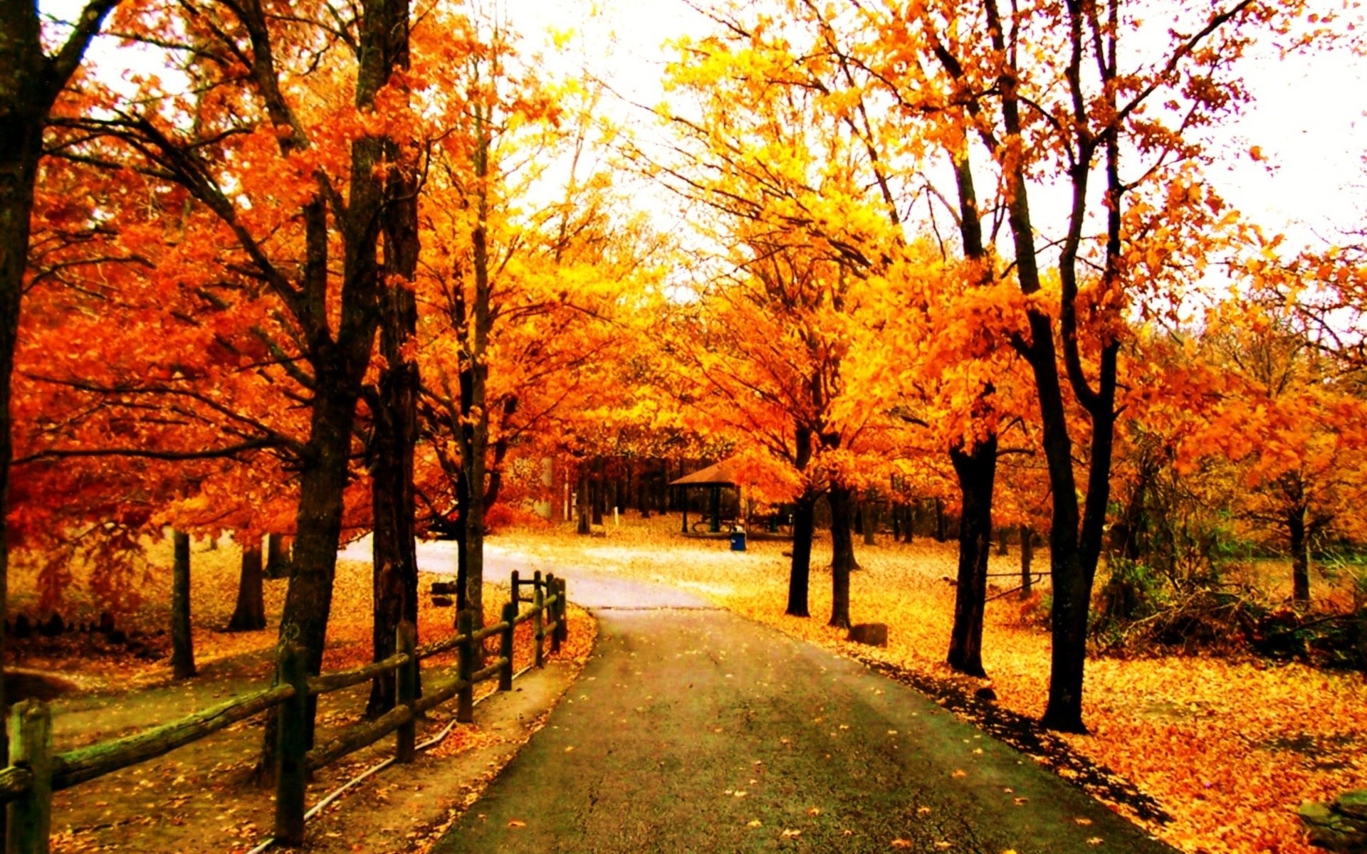 Autumn is beautiful. Осенний парк. Осень jpg. Оранжевый парк. Картинка.jpg, осень.bmp.