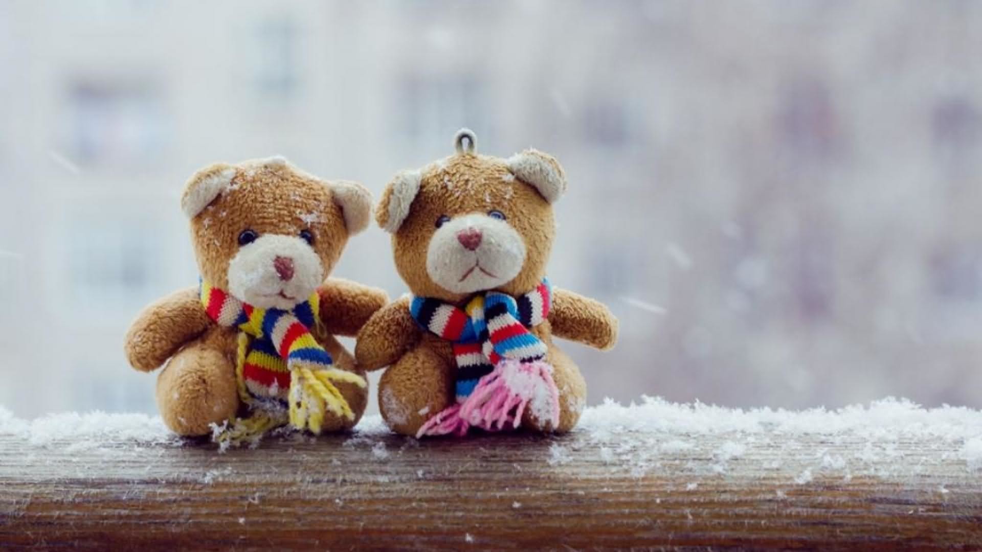 Teddy Bear Wallpaper Windows Download #11179 Wallpaper ...