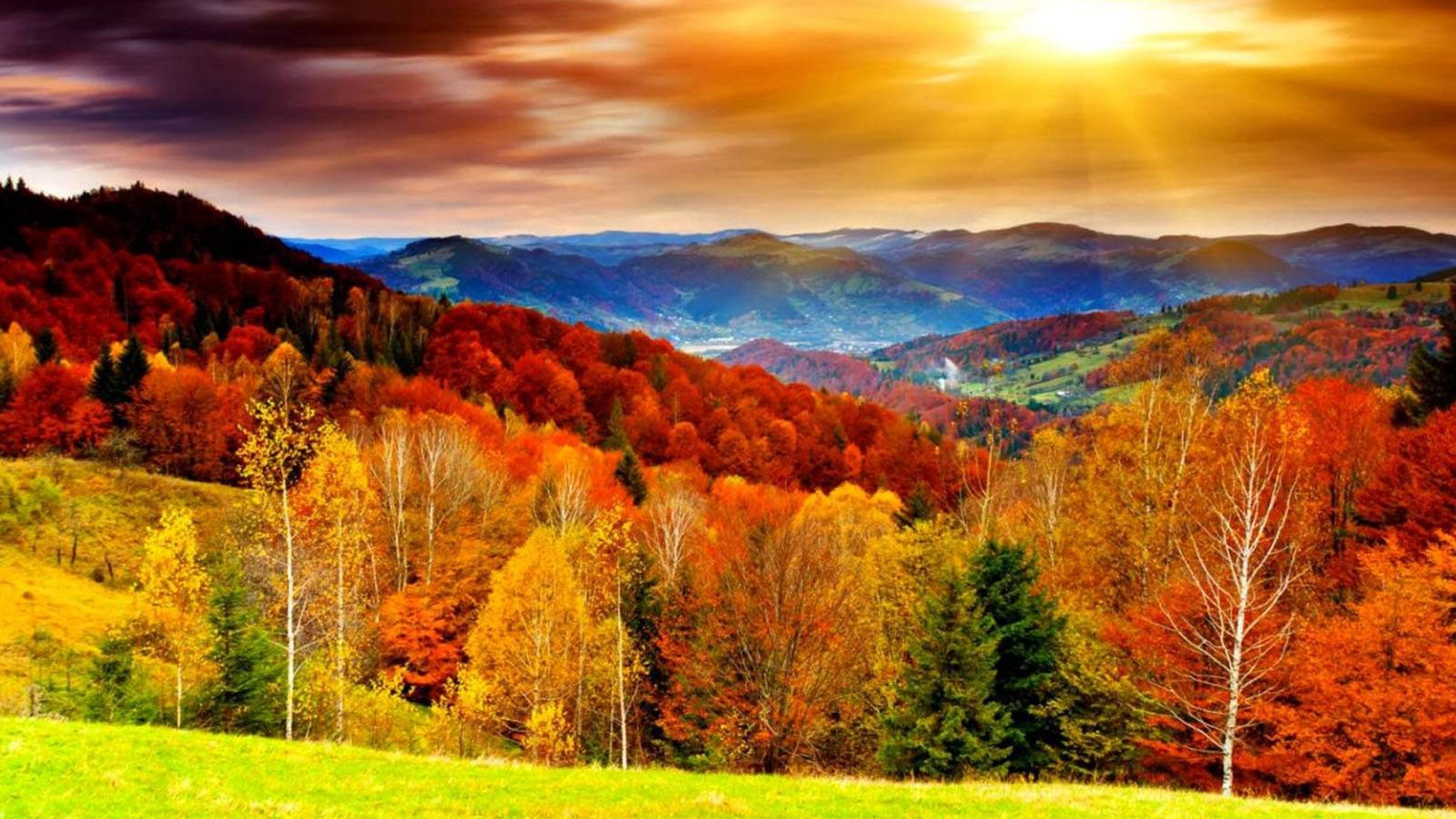 Autumn Desktop Wallpaper Download Free Stunning Full HD Wallpapers 