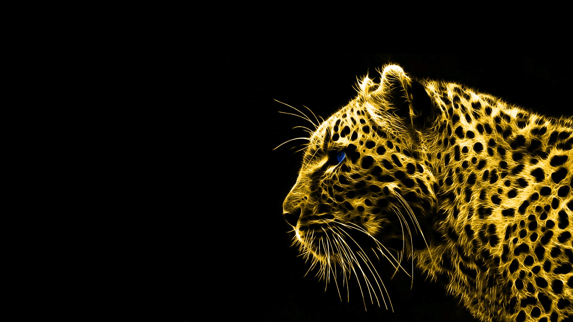 Gold and Black background ·① Download free HD wallpapers for desktop