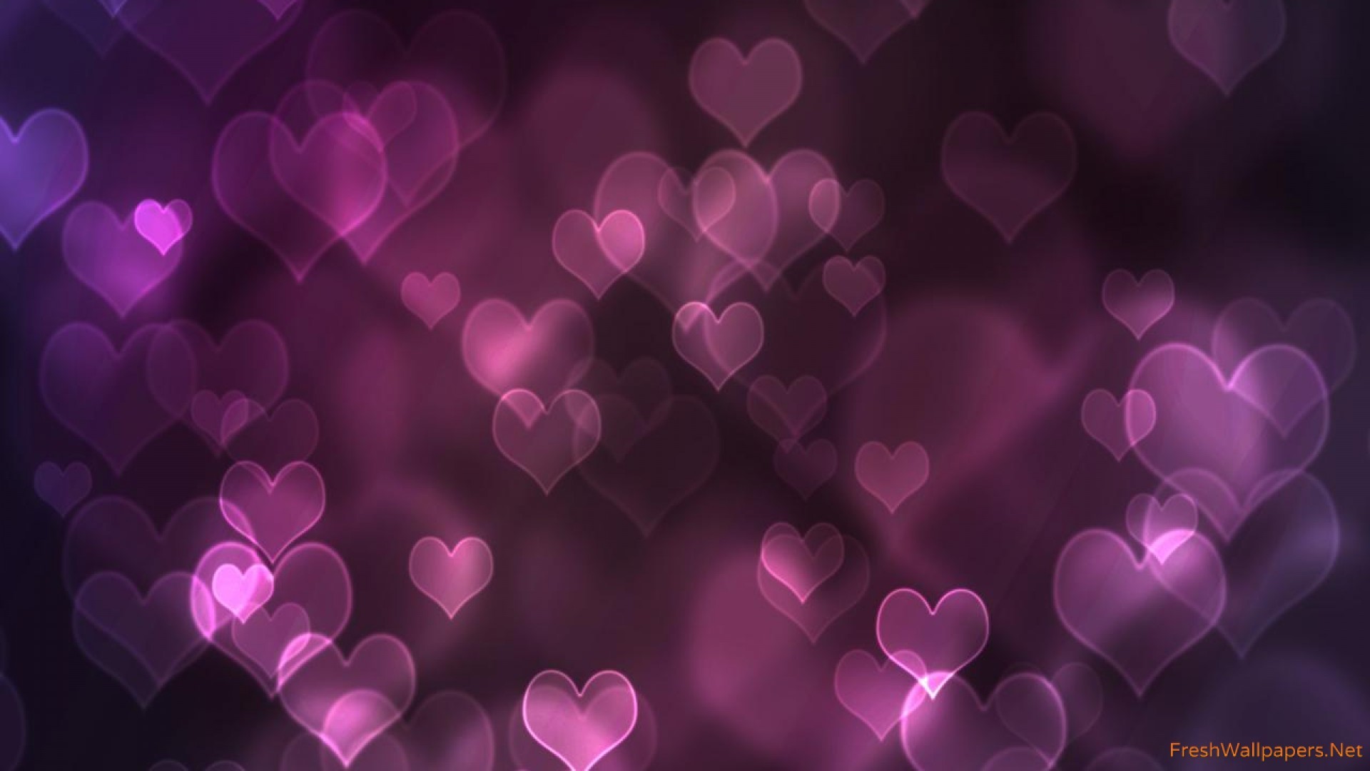  Love  Purple  Wallpaper   WallpaperTag