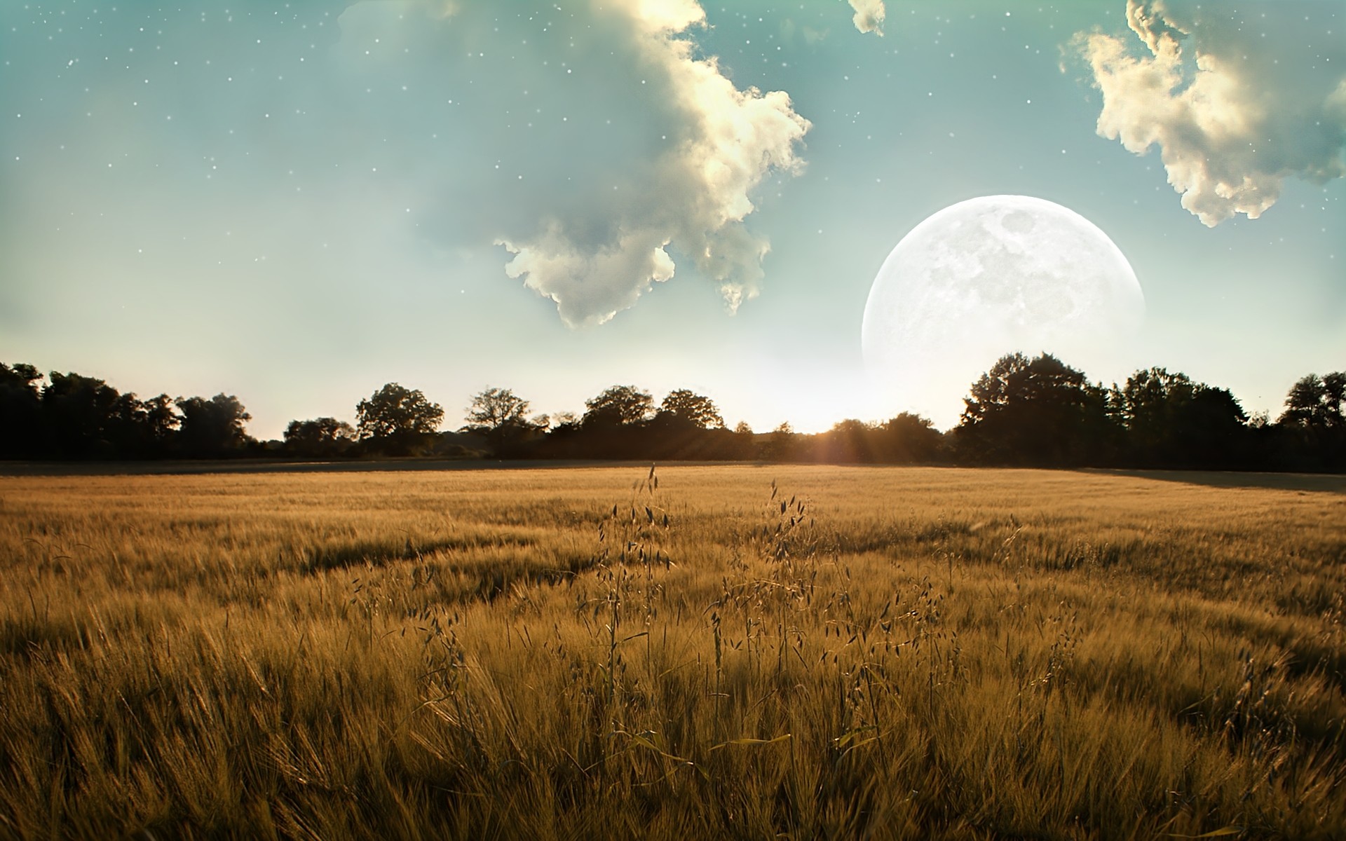 Луна над полями. Поле и небо. Ночное поле. Ночное небо в поле. Луна над полем.