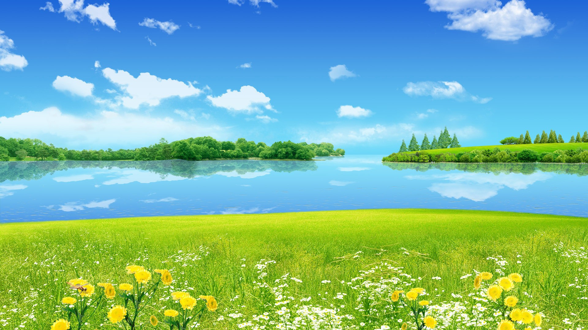 Sunny background ·① Download free awesome High Resolution wallpapers ...