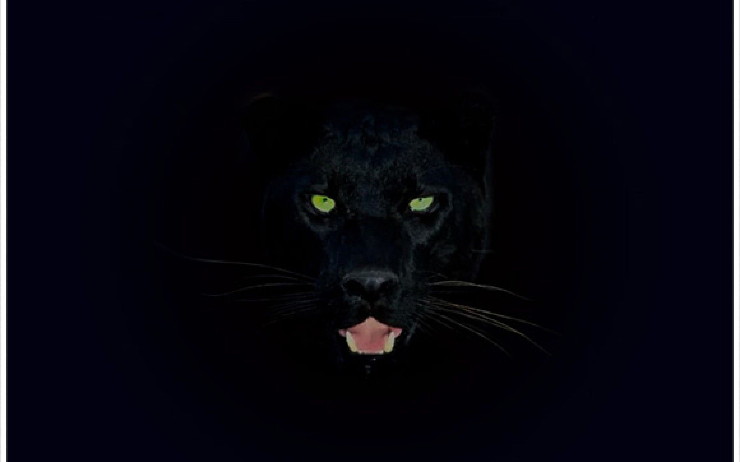 Black Panther wallpaper ·① Download free amazing HD ...