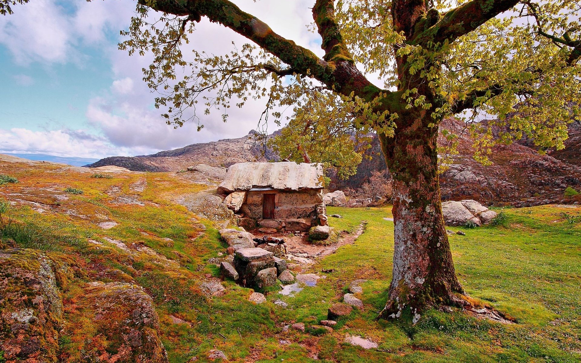New Nature Wallpaper ·① WallpaperTag