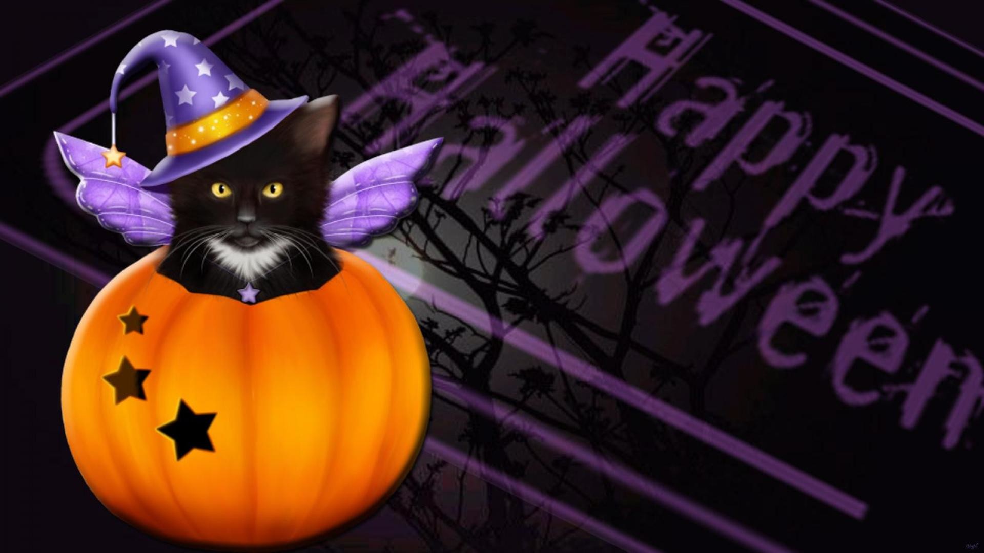 Halloween Black Cat Wallpaper | HQ Wallpapers