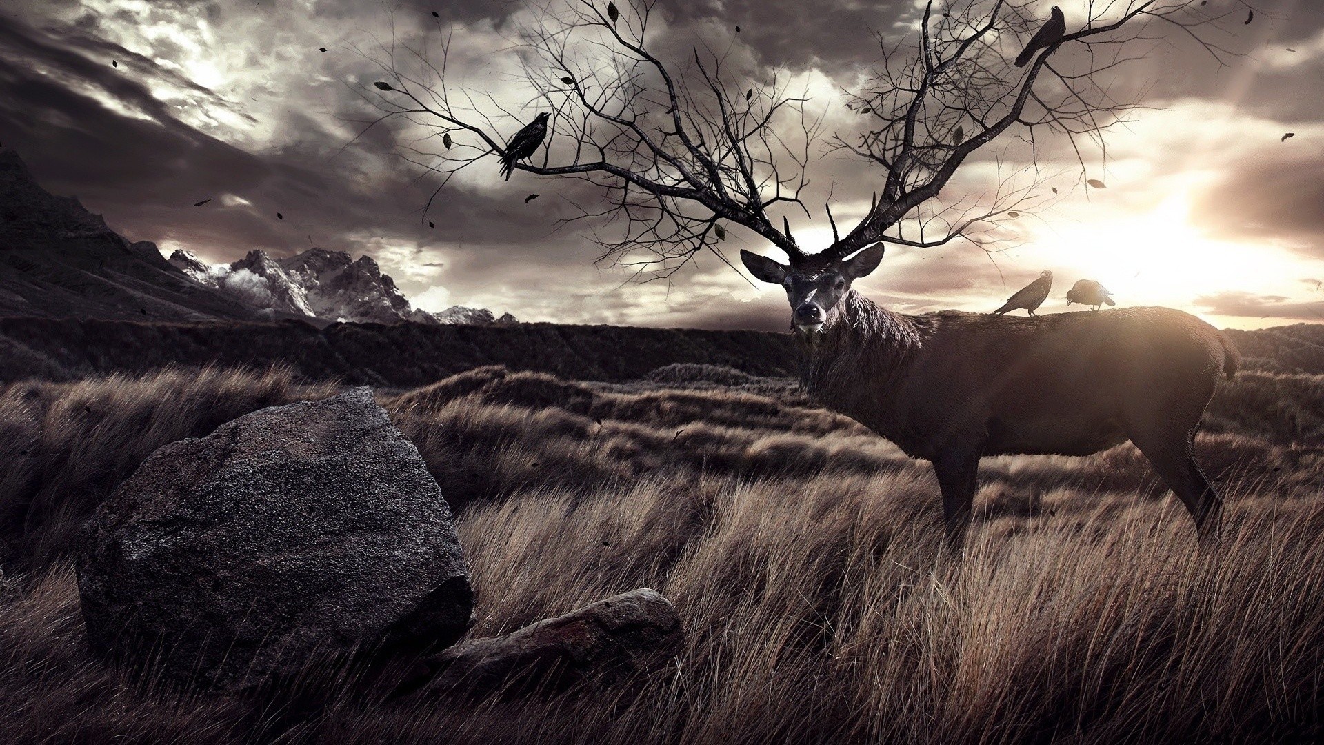 Deer Hunting Backgrounds ·① WallpaperTag