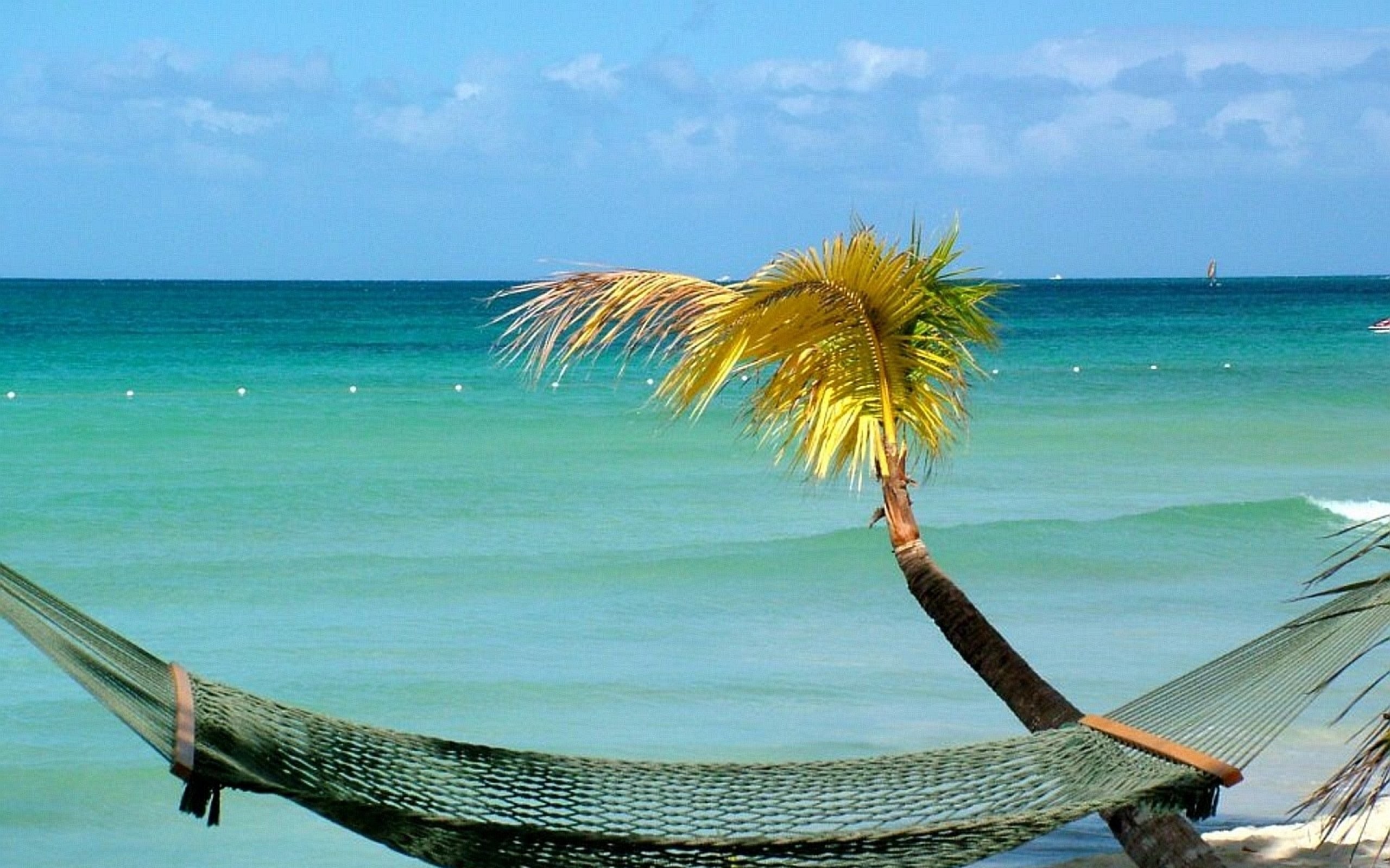Jamaica / Jamaica Travel Guide But jamaica offers plenty of outdoor