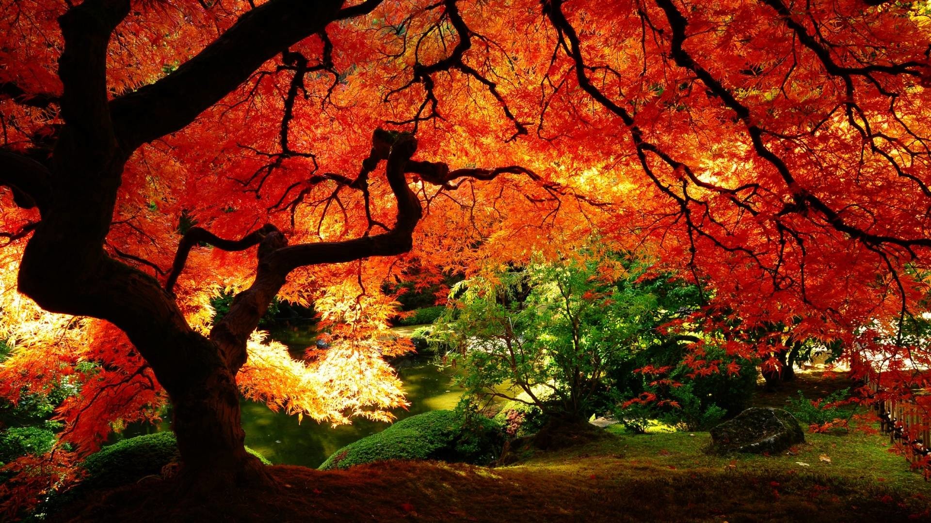 Fall Themed Wallpaper Desktop ·① WallpaperTag