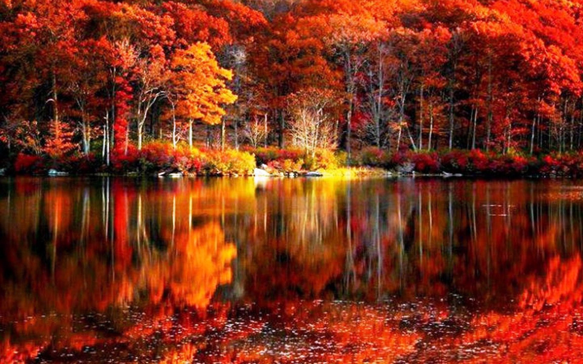 Fall Scenery Backgrounds ·① WallpaperTag