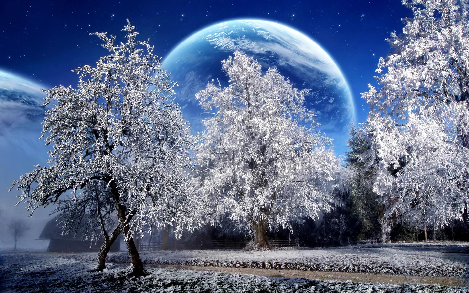 Digital art, Alien planet, Frosty trees, Starry sky, Winter landscape, MacBook Air wallpaper