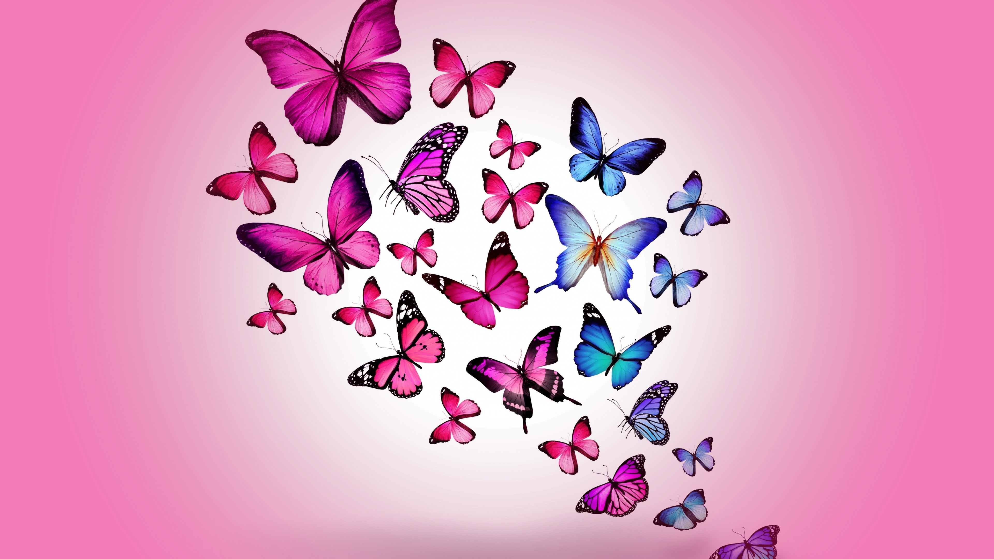 Pink Butterfly Backgrounds ·① WallpaperTag