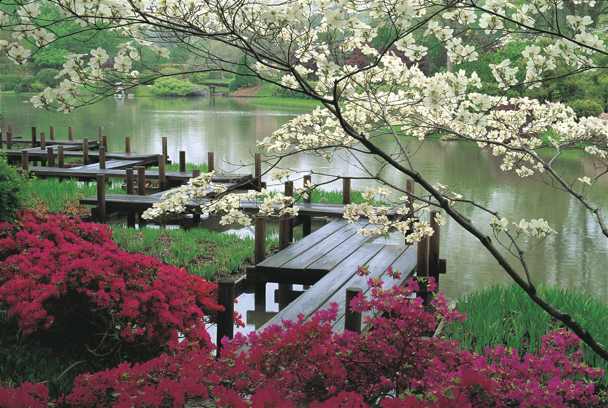 Spring Garden Jpg Spring Garden Wallpaper Β·β WallpaperTag