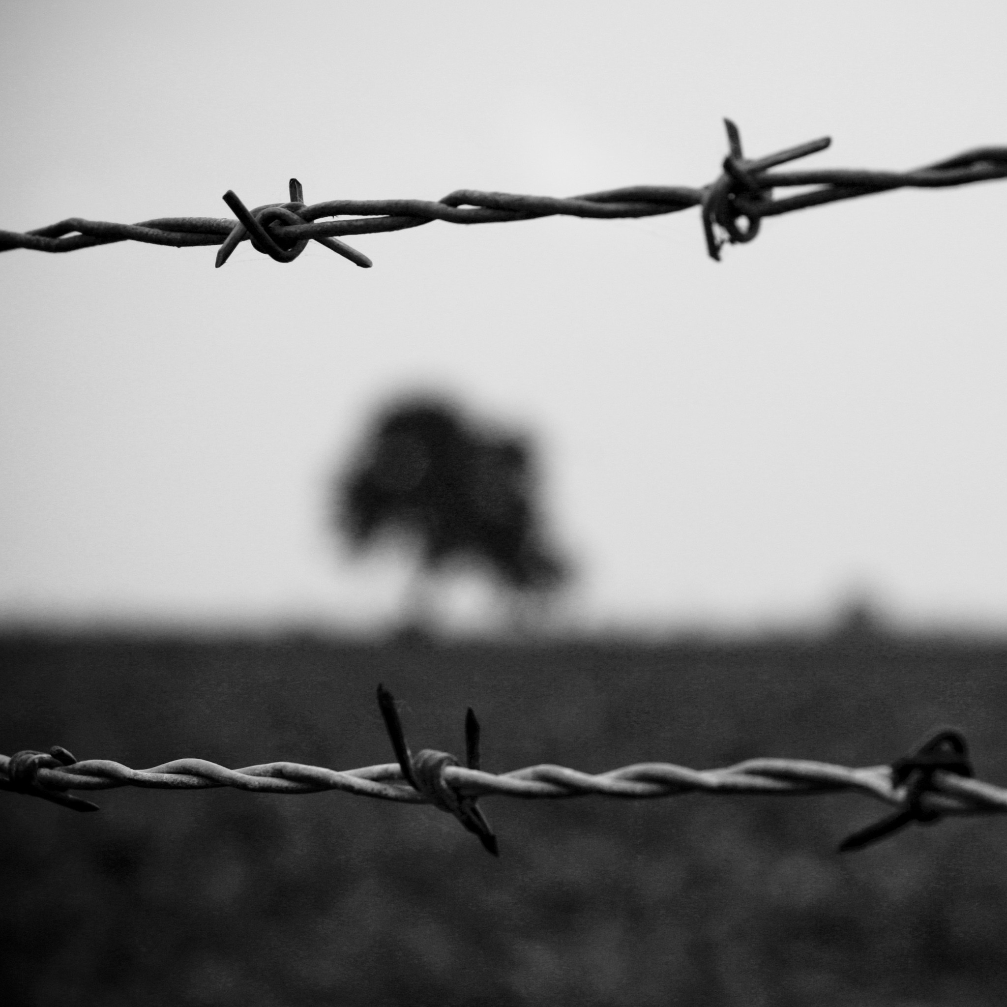 Barb Wire Wallpaper ·① WallpaperTag