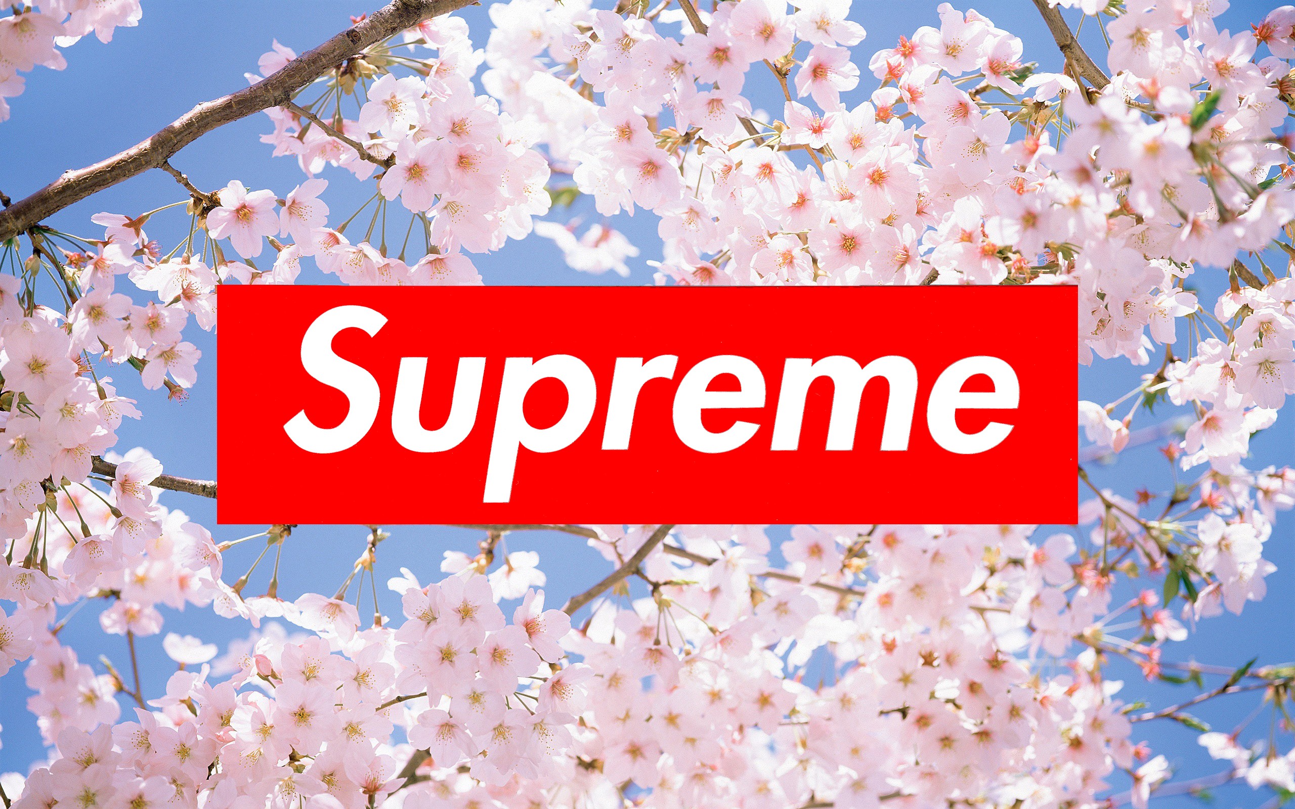 Supreme background ·① Download free backgrounds for ...